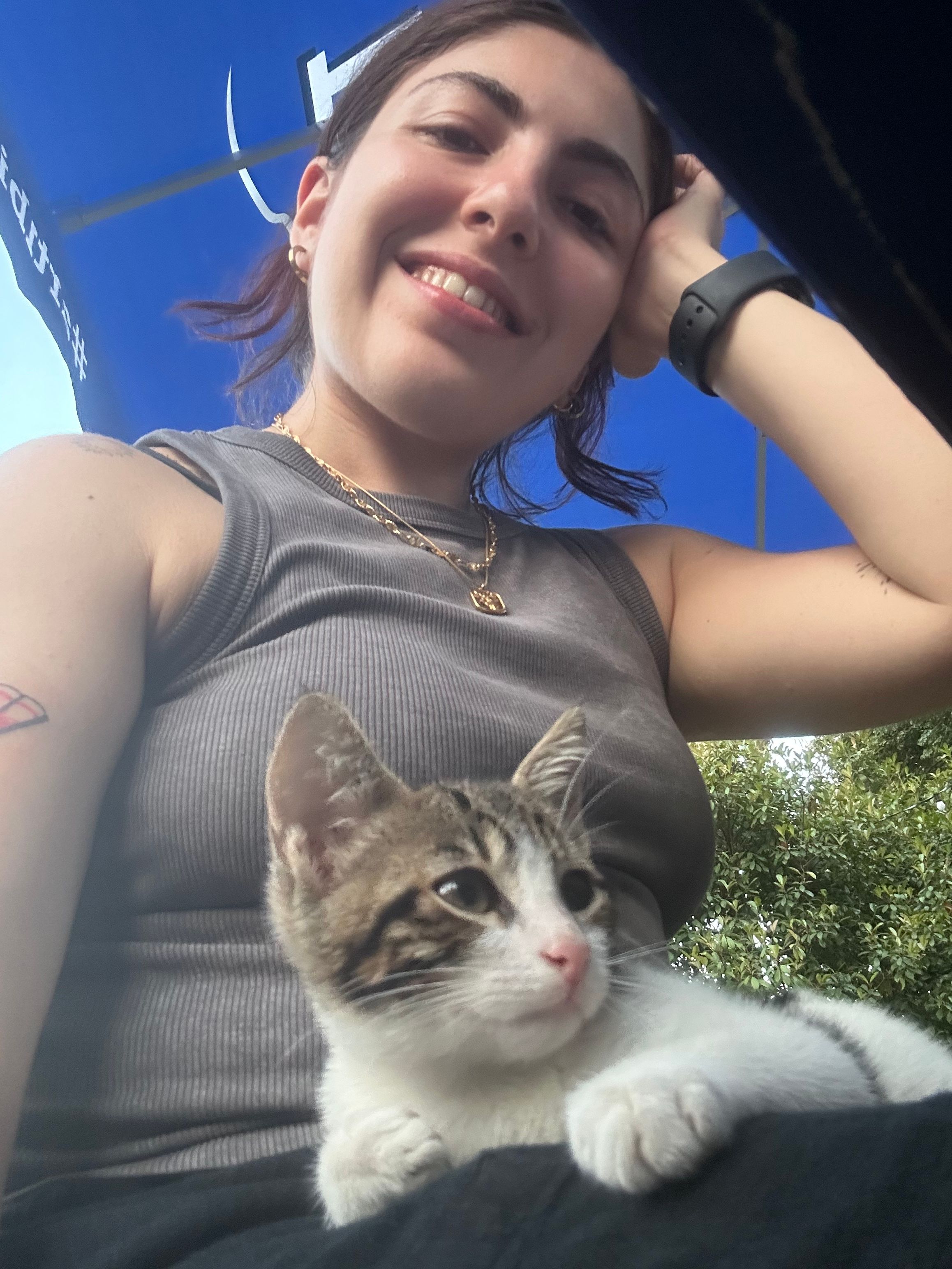 image-6