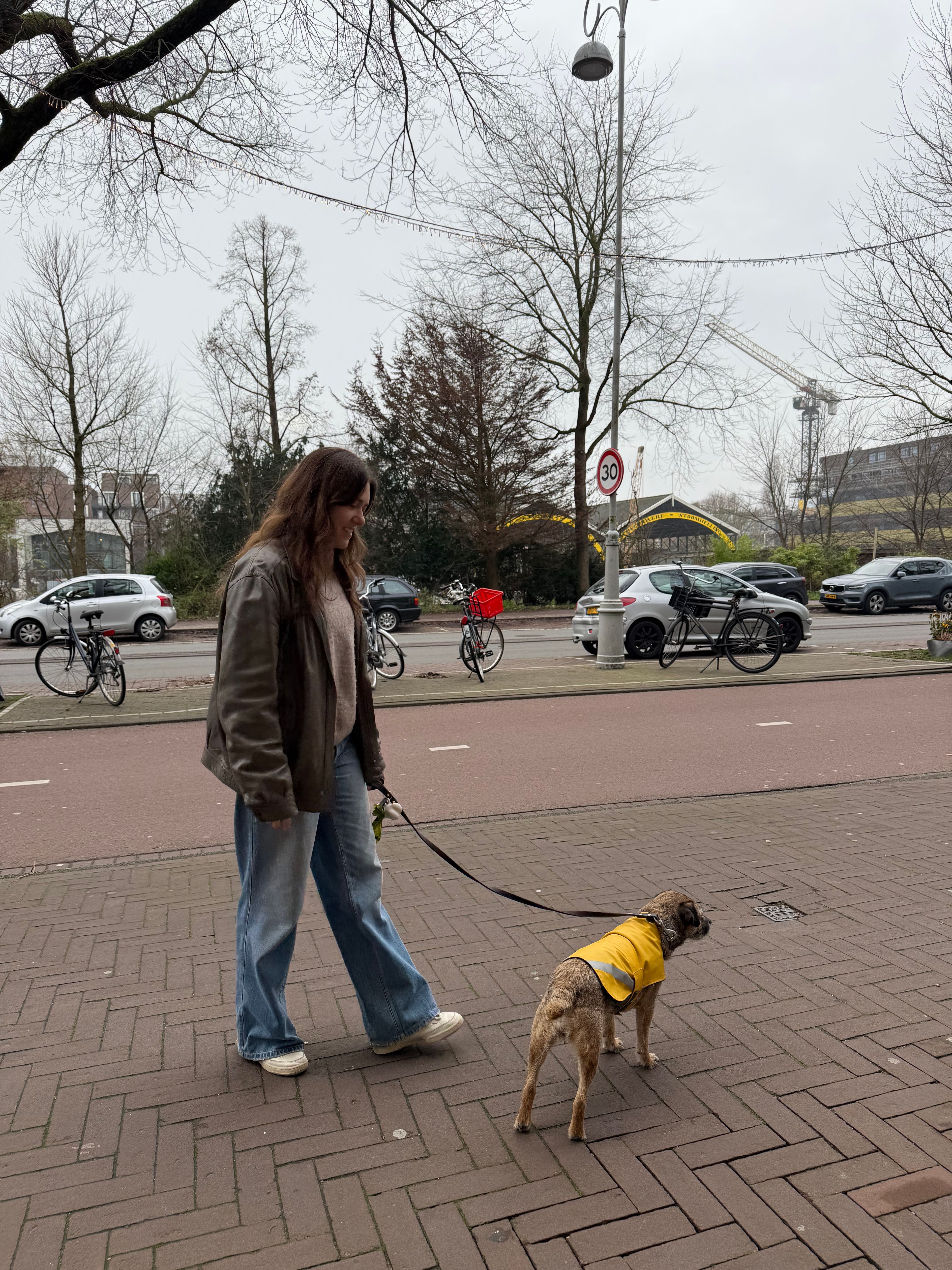 image-3