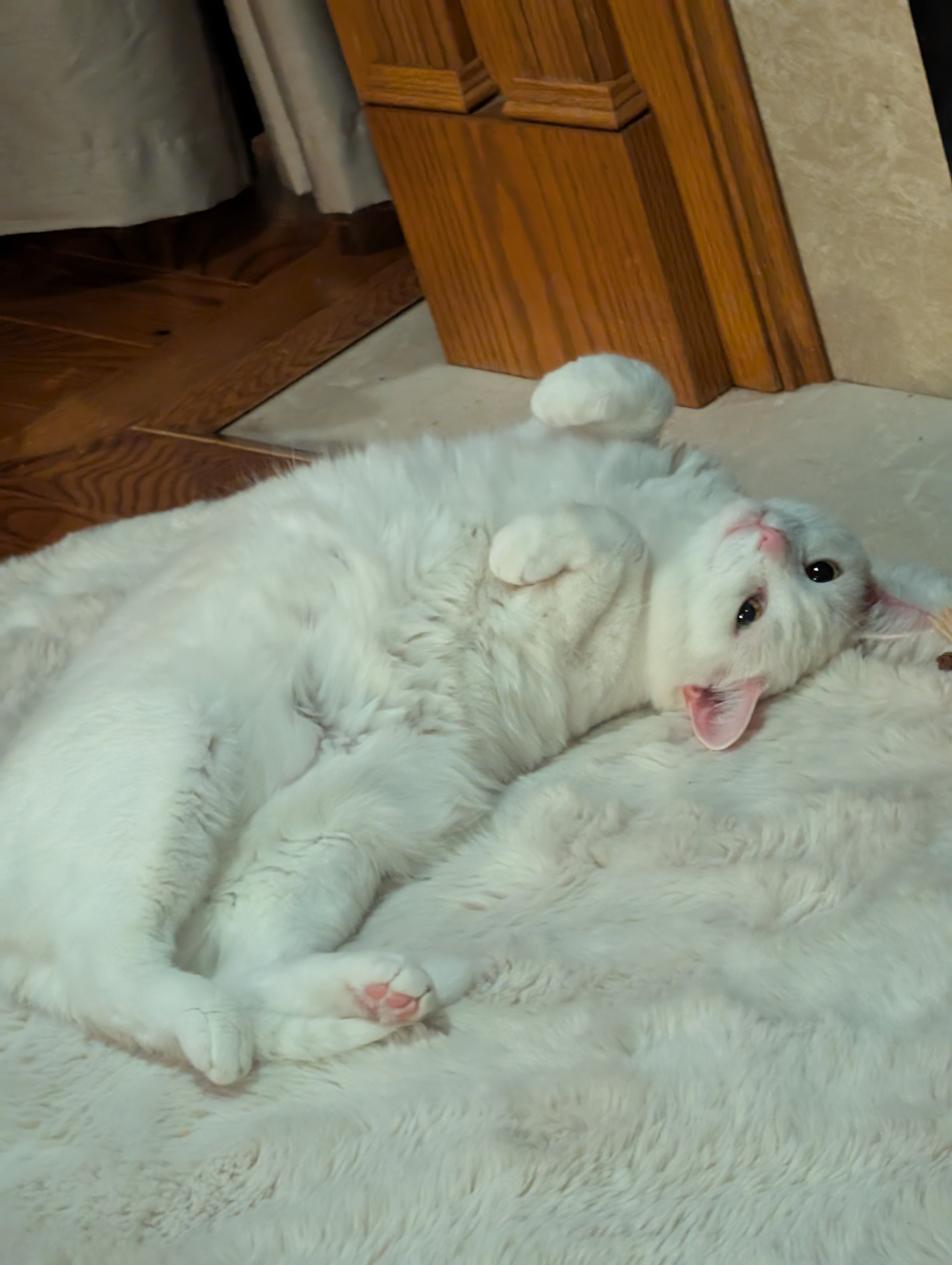 image-6