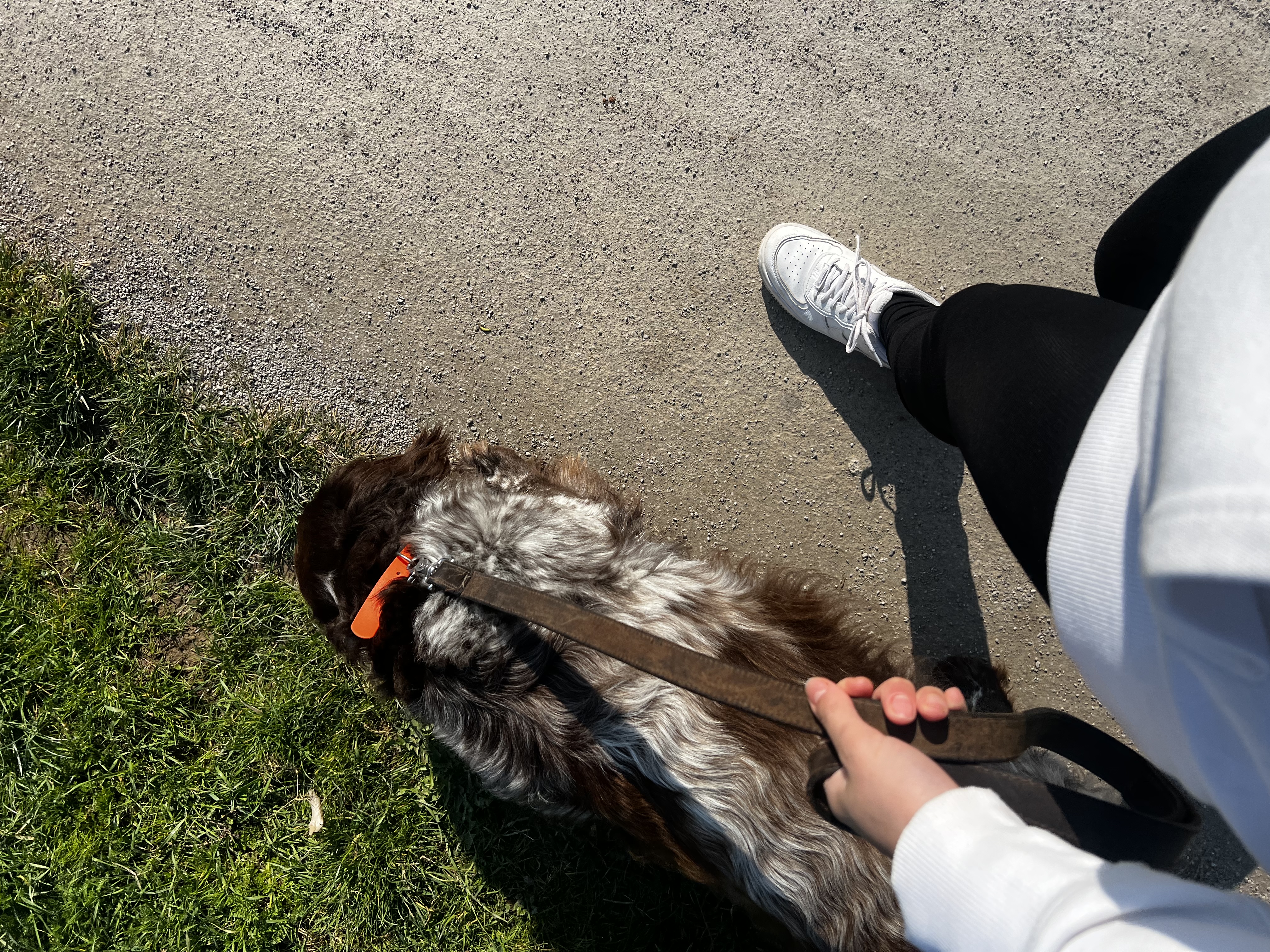 image-8