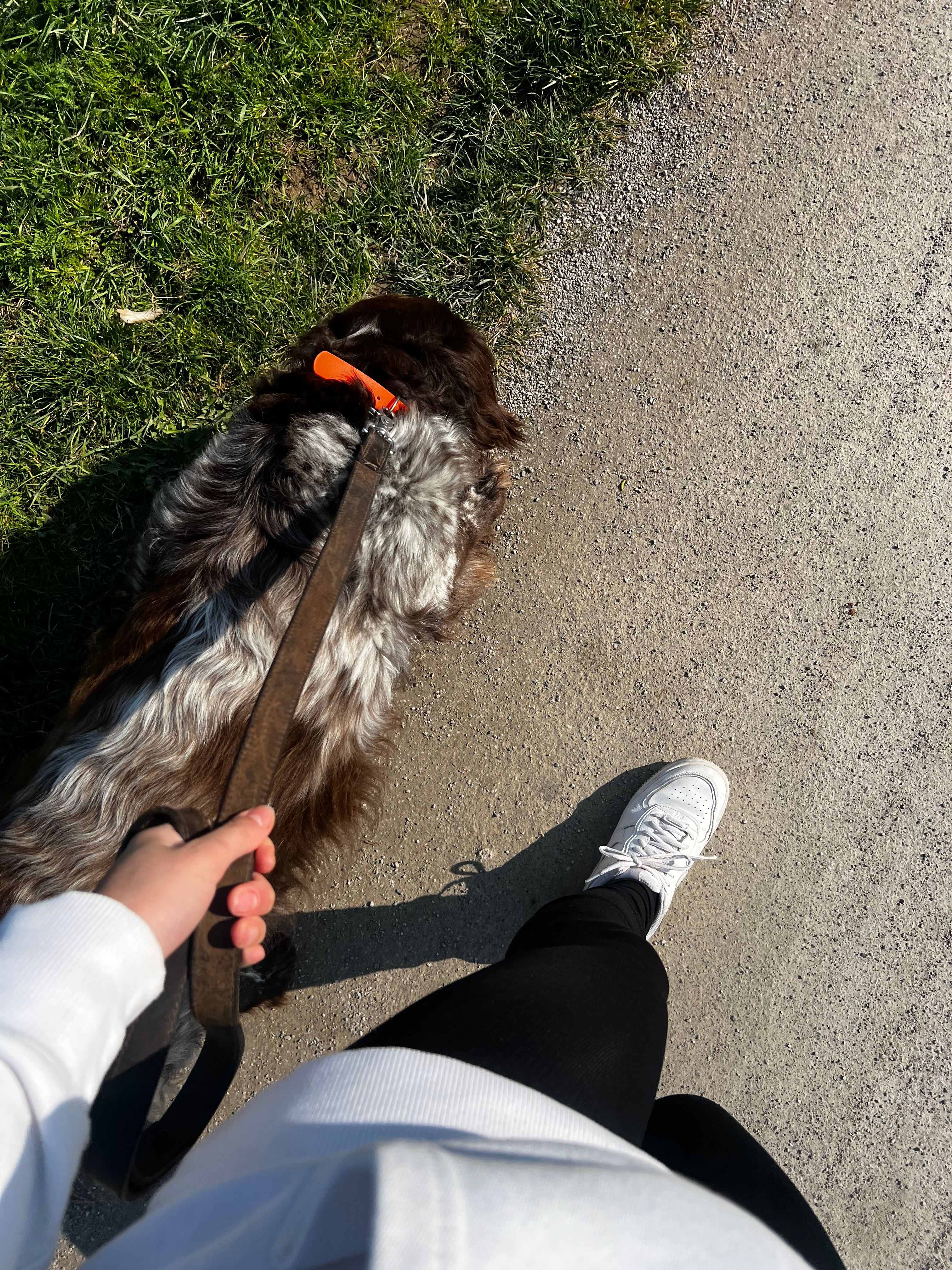 image-8