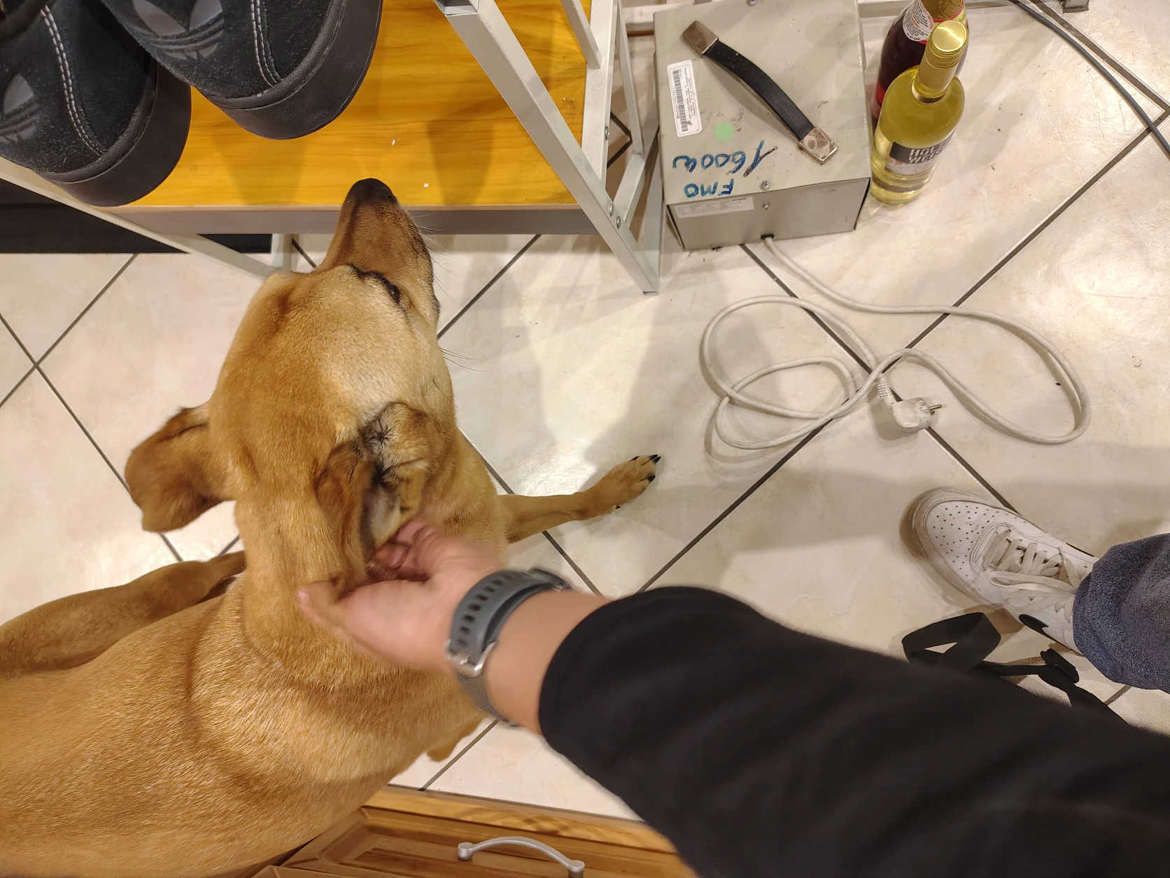 image-7