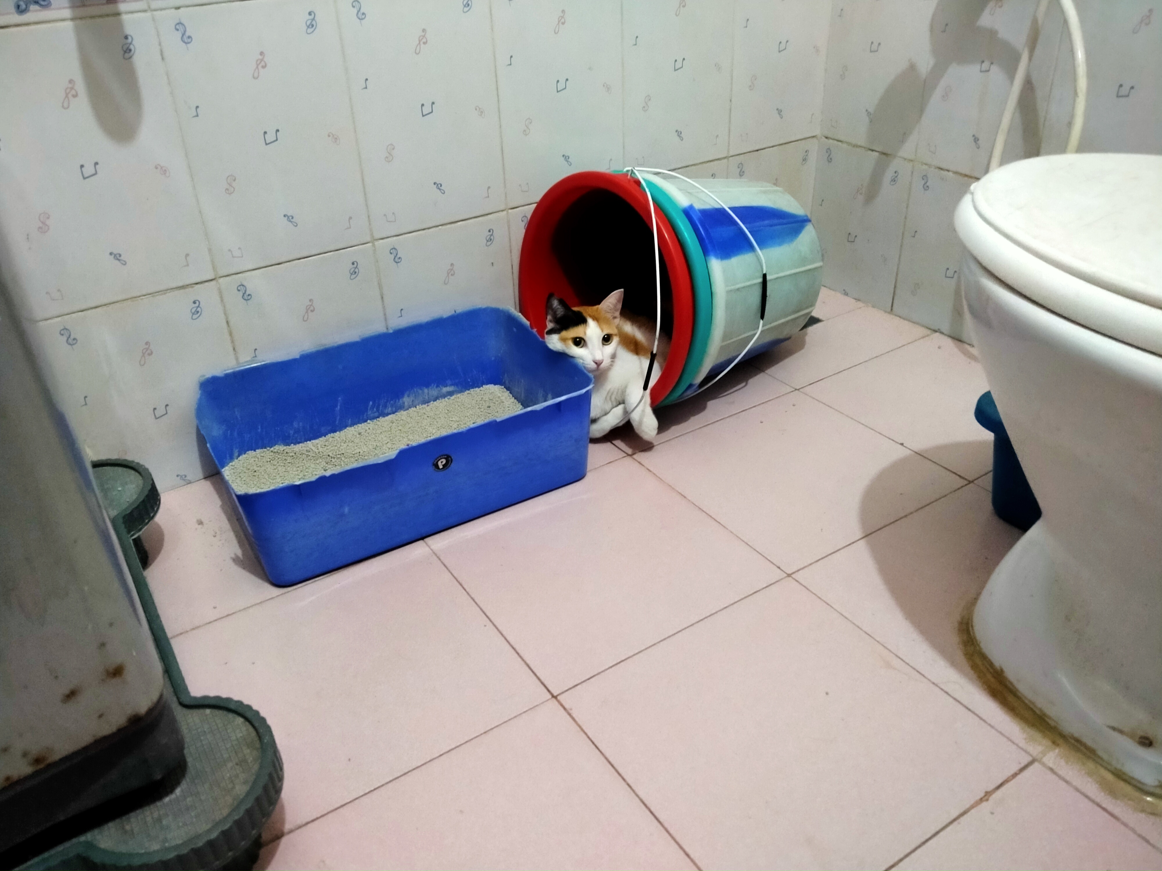 image-13