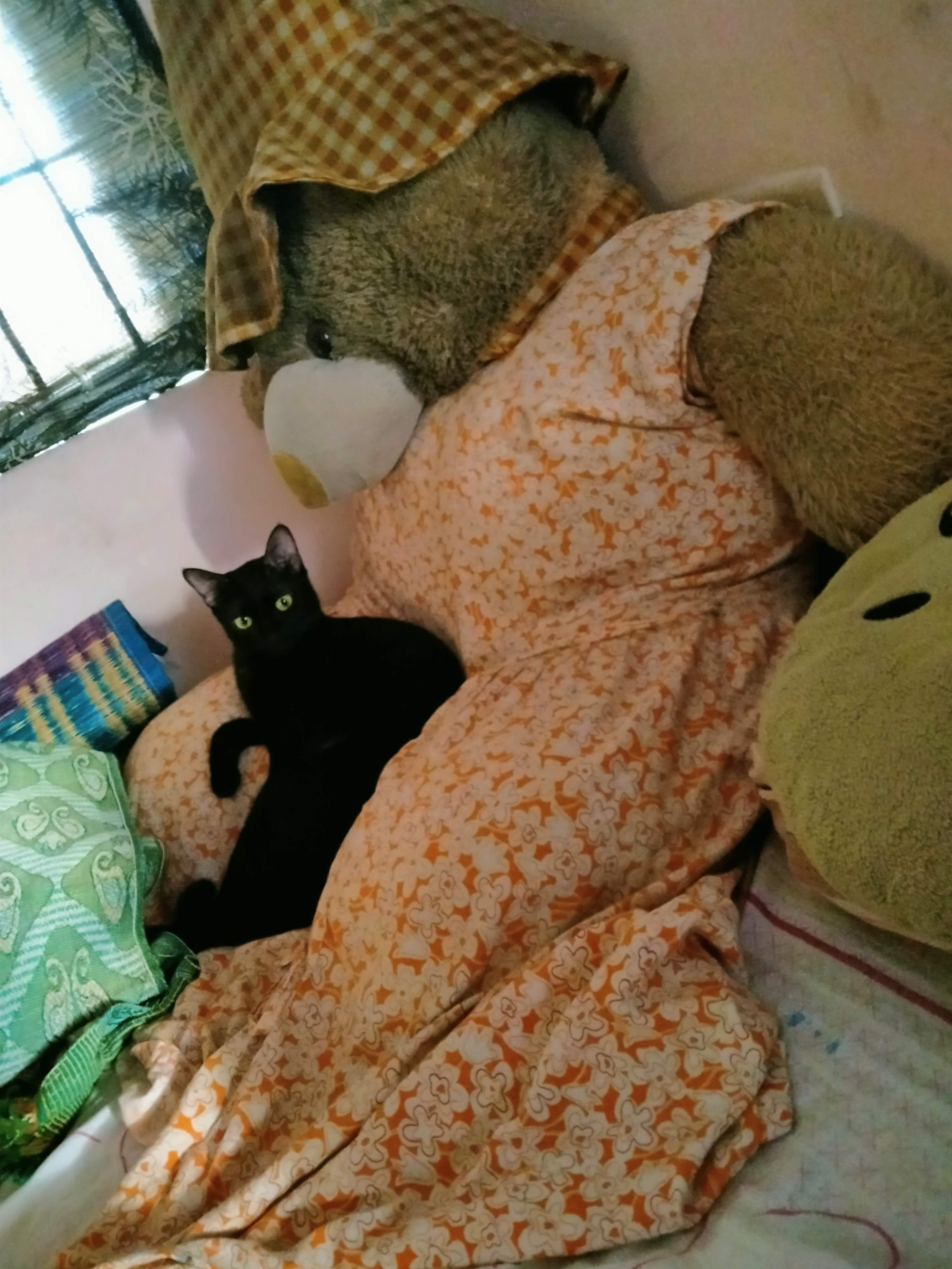 image-14