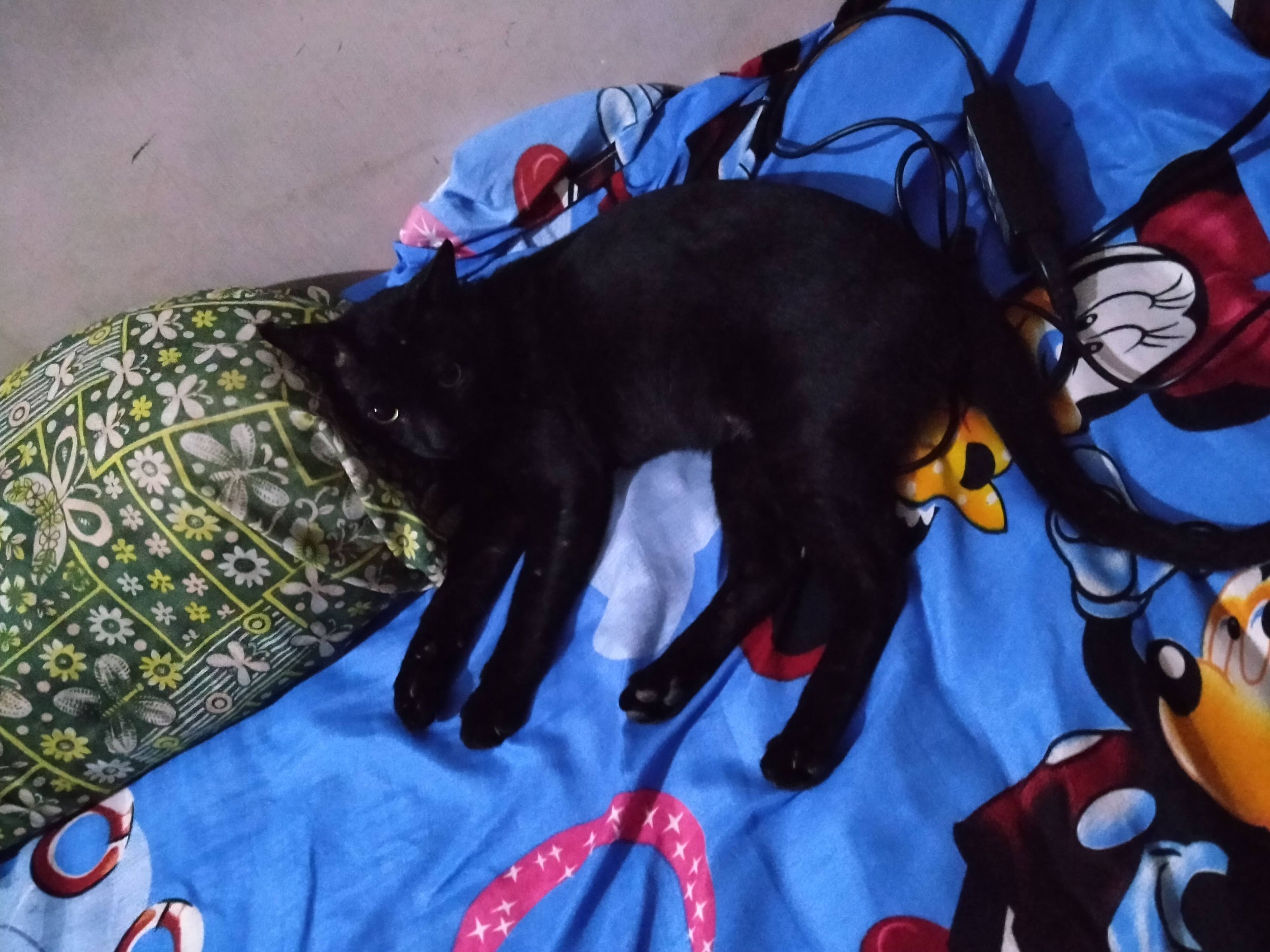 image-11