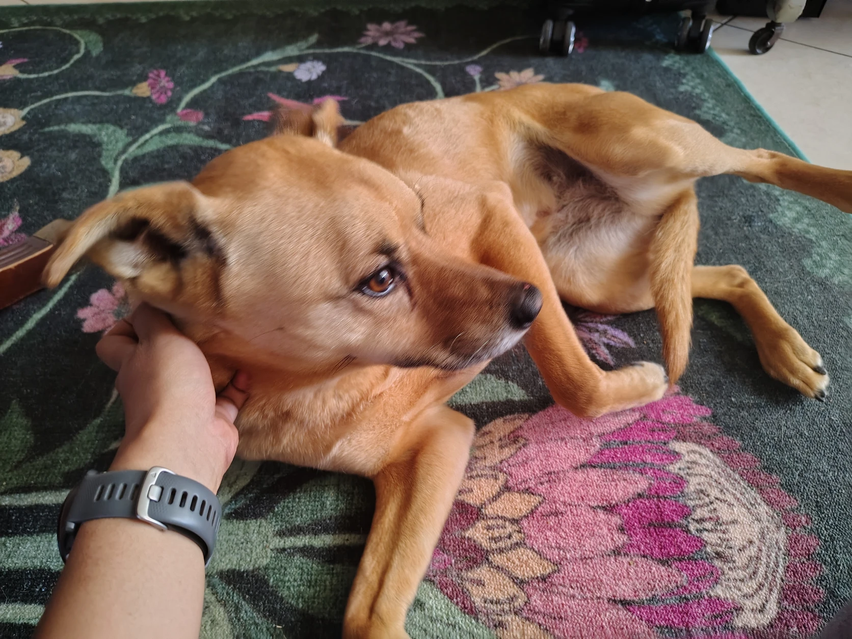 image-8