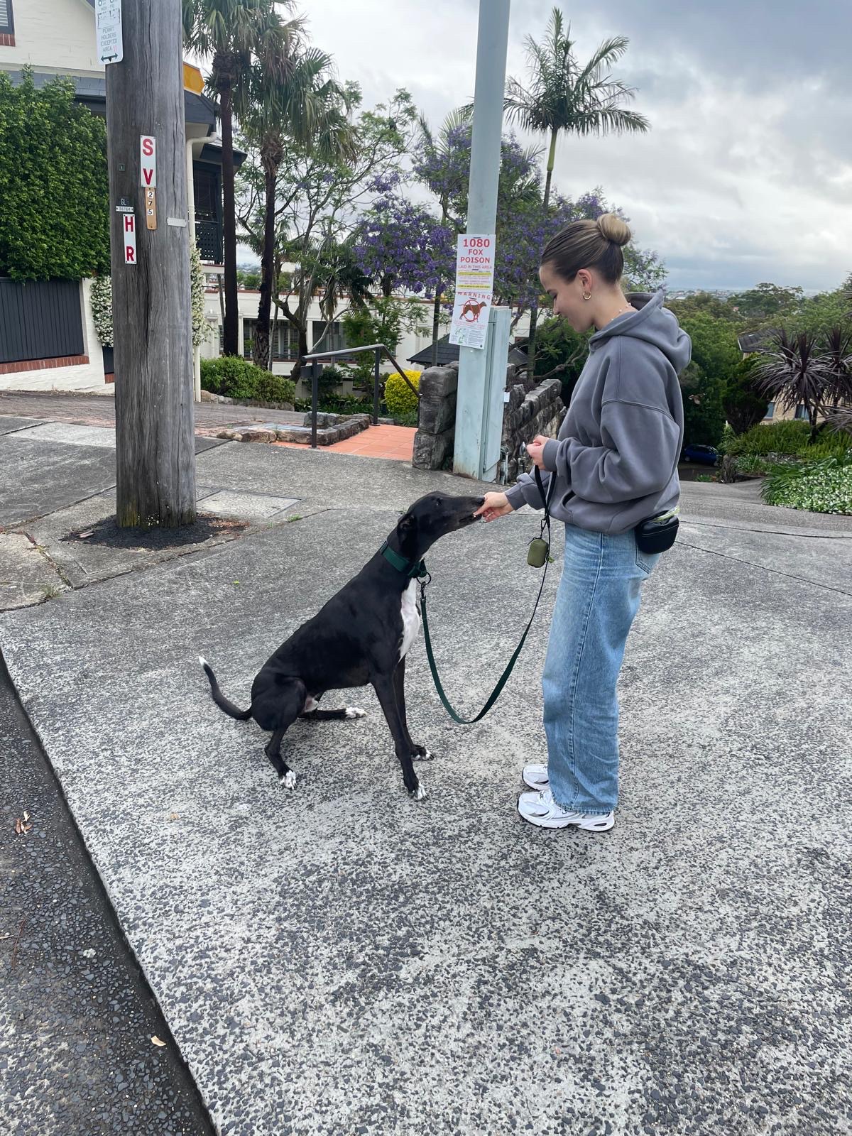 image-16