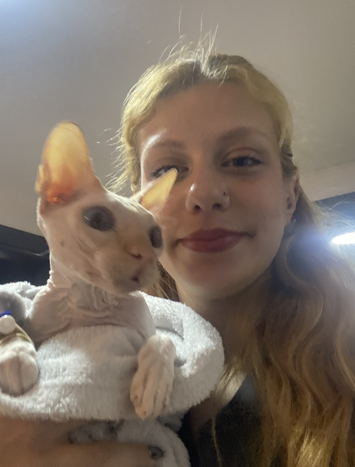 image-6