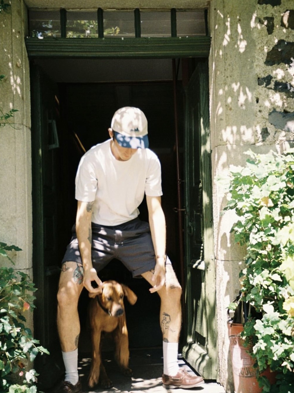 image-1
