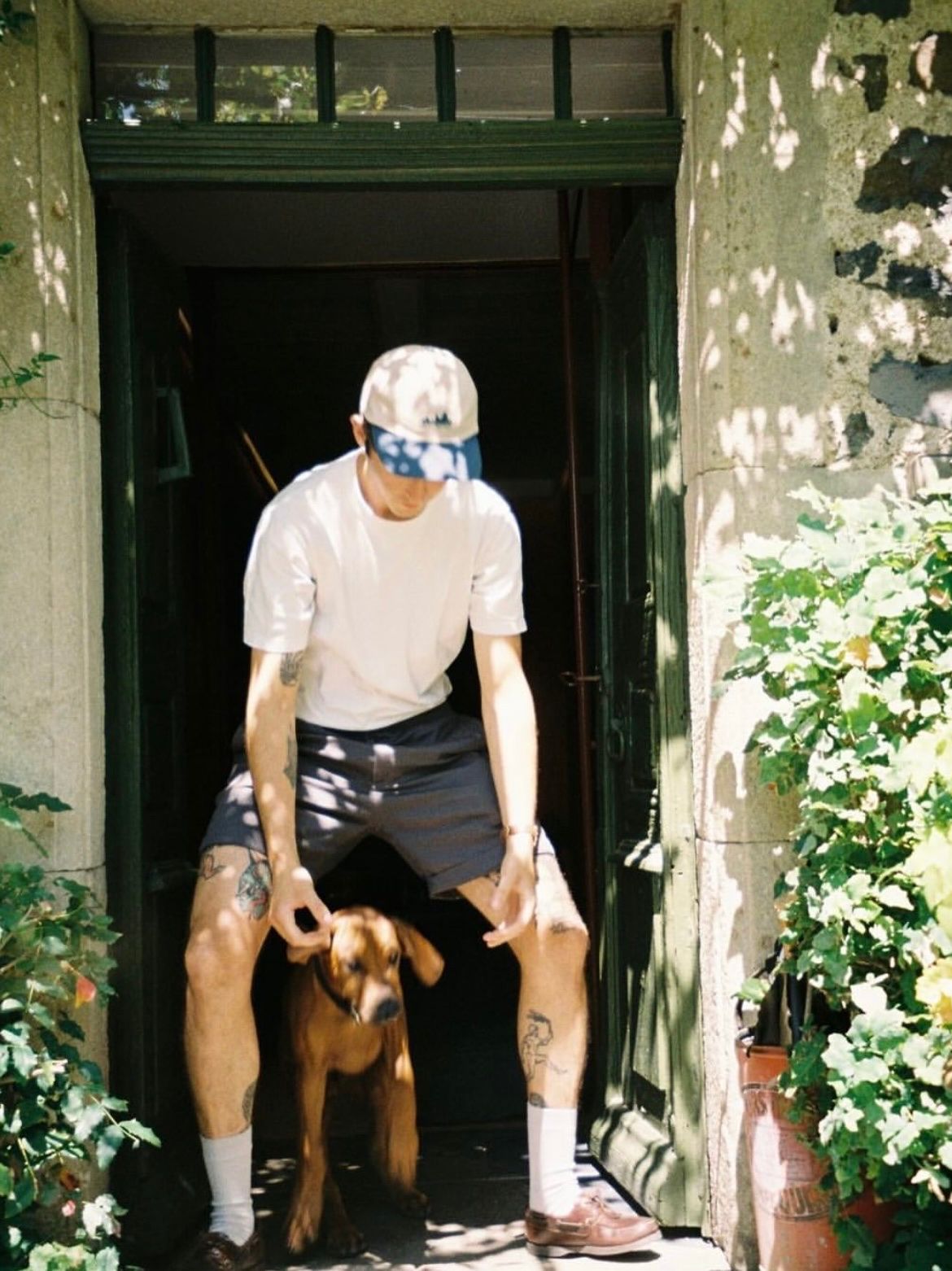 image-1