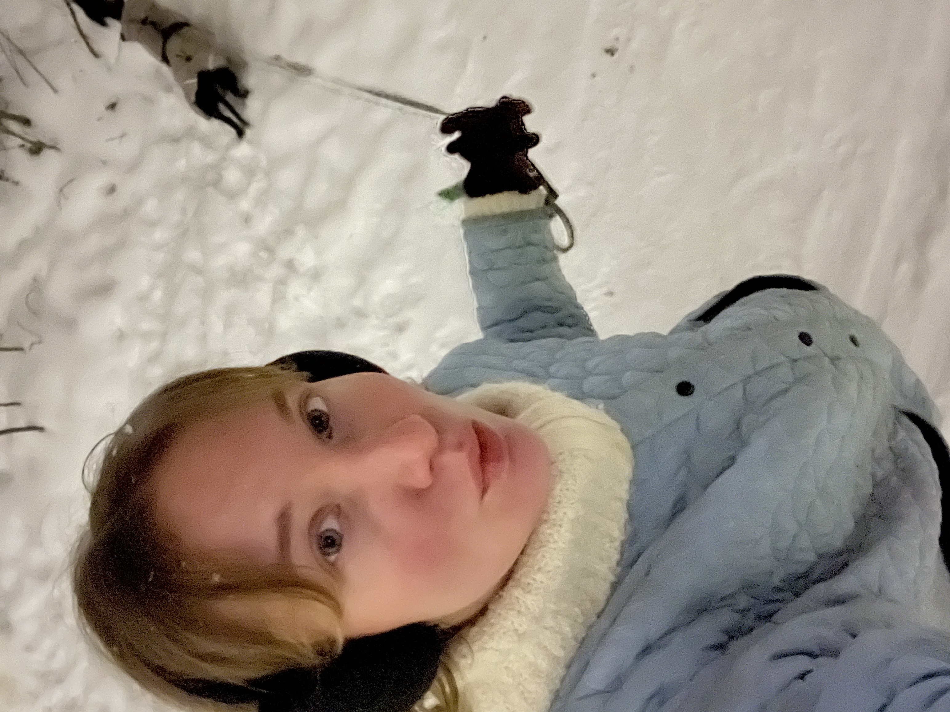 image-6