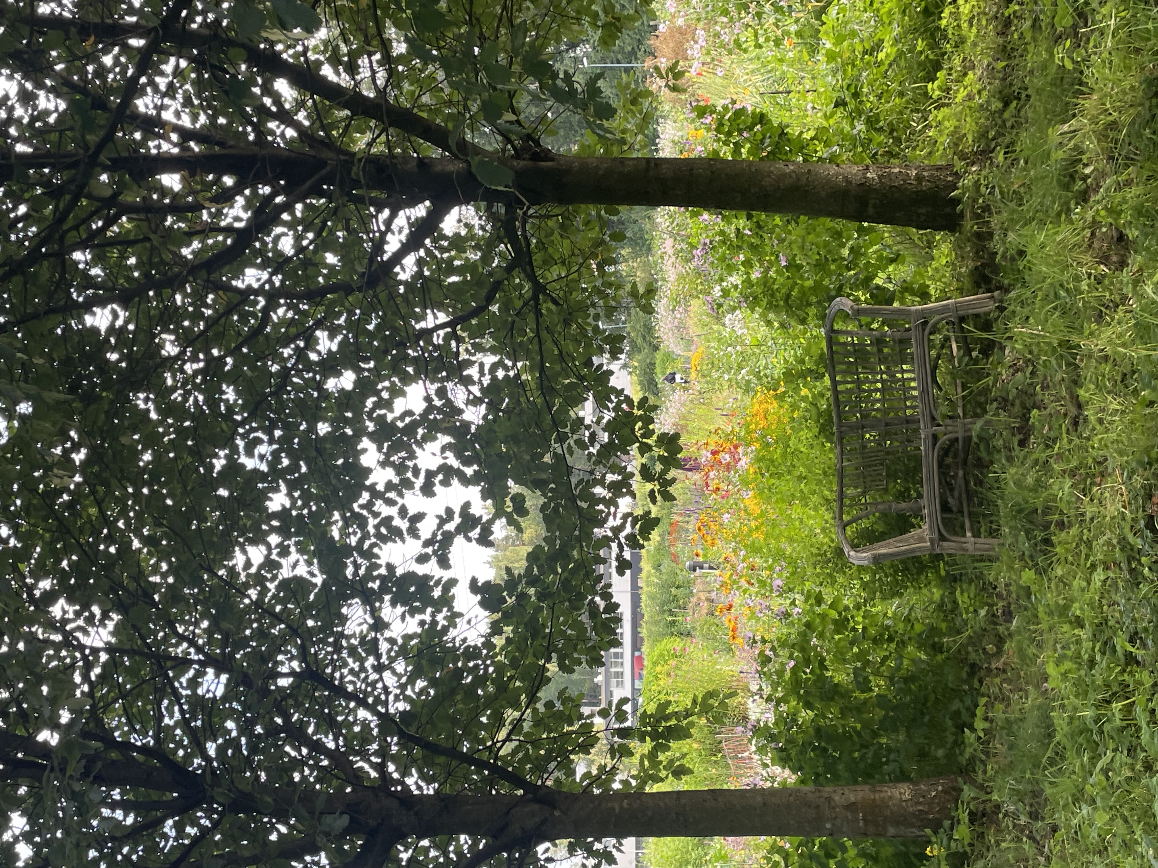 image-17