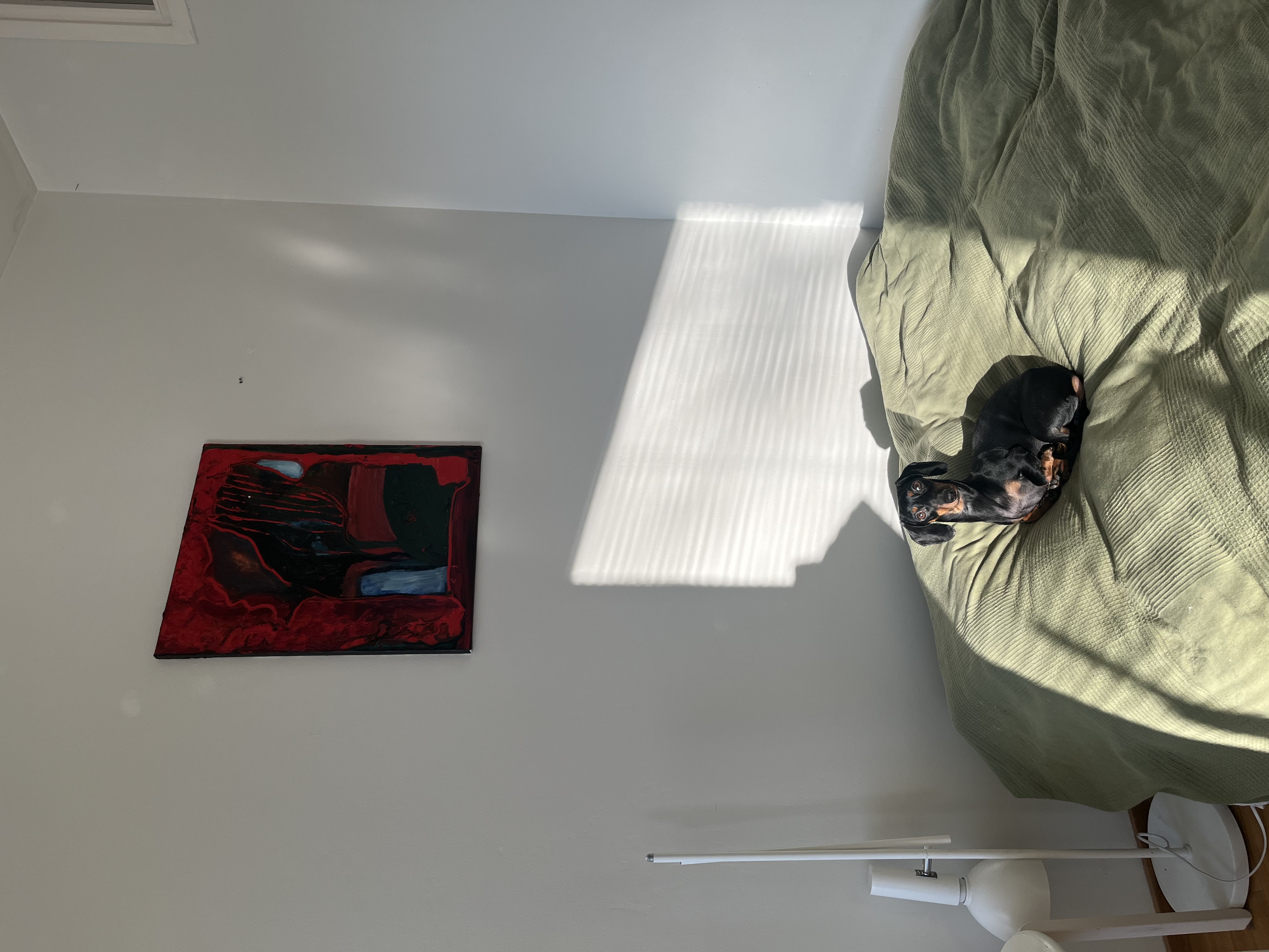 image-10