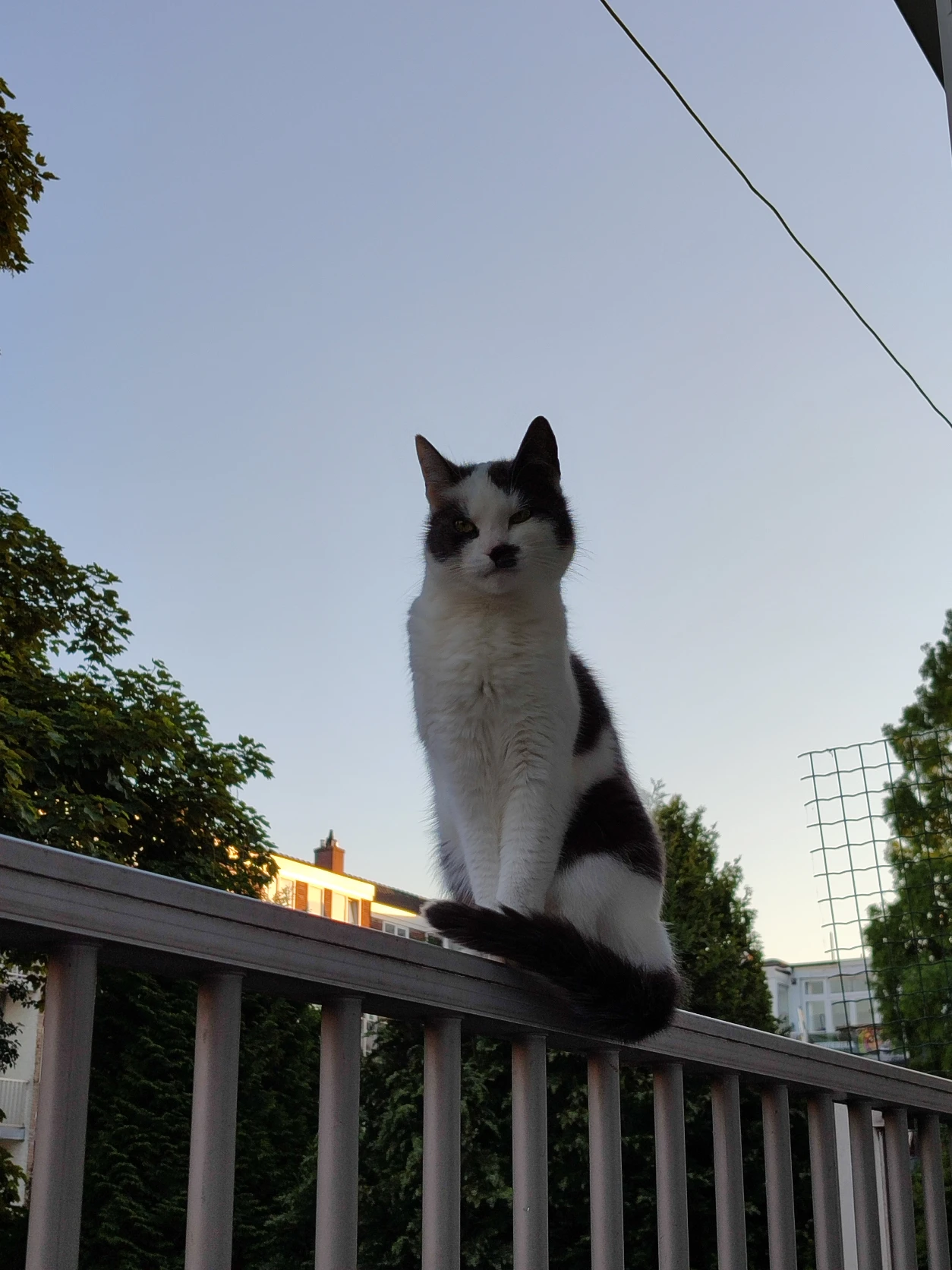 image-9