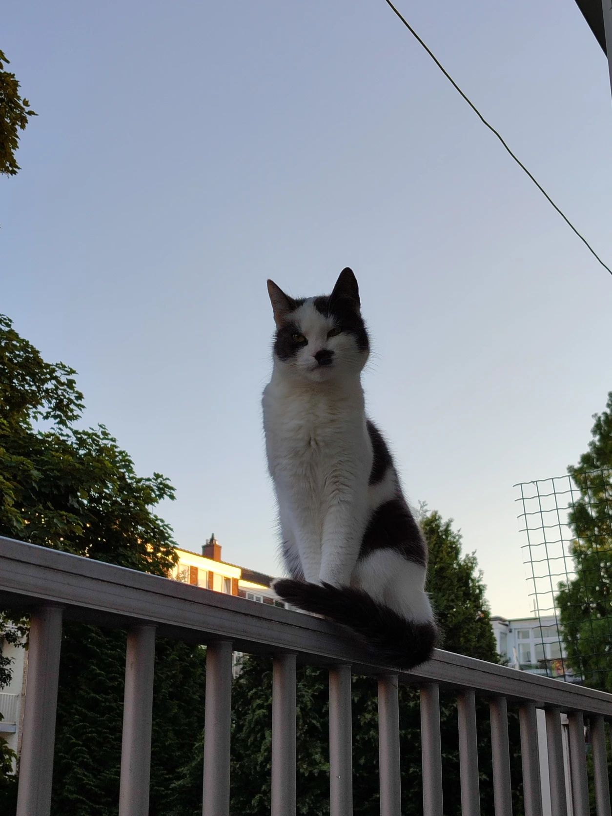 image-9
