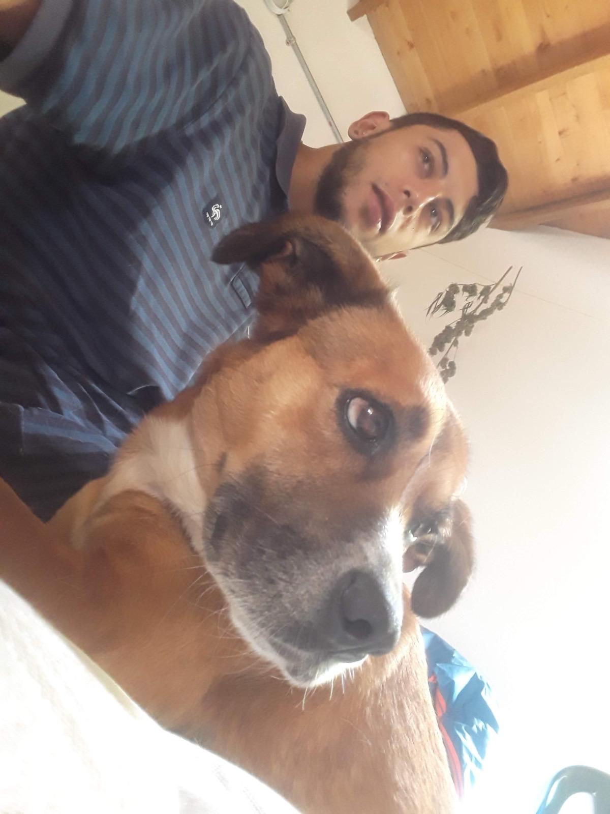 image-3
