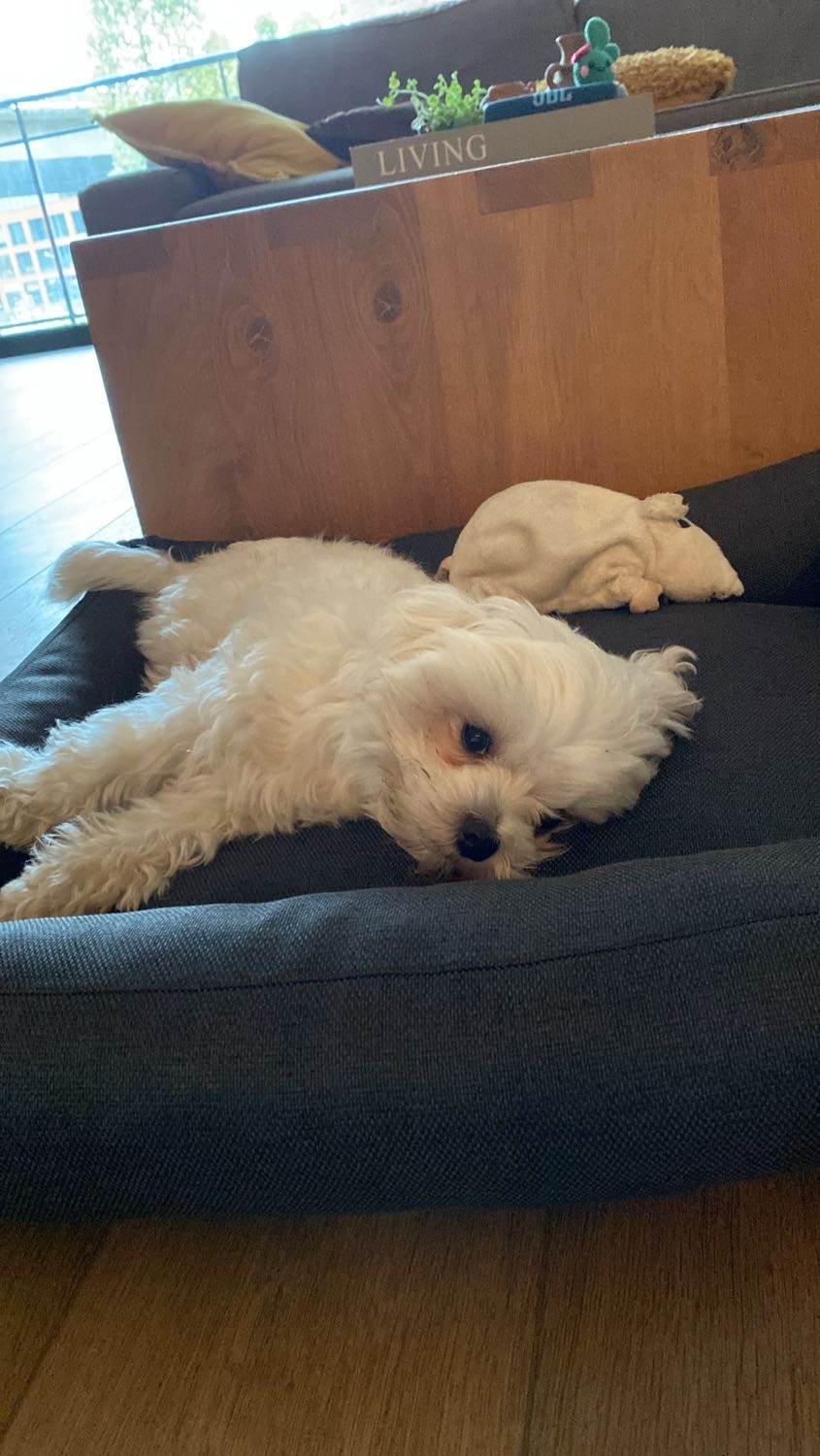 image-12