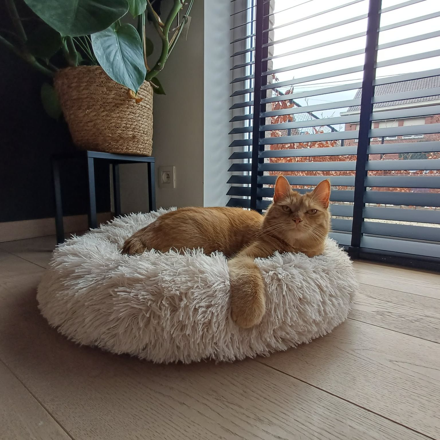 Kurt 
