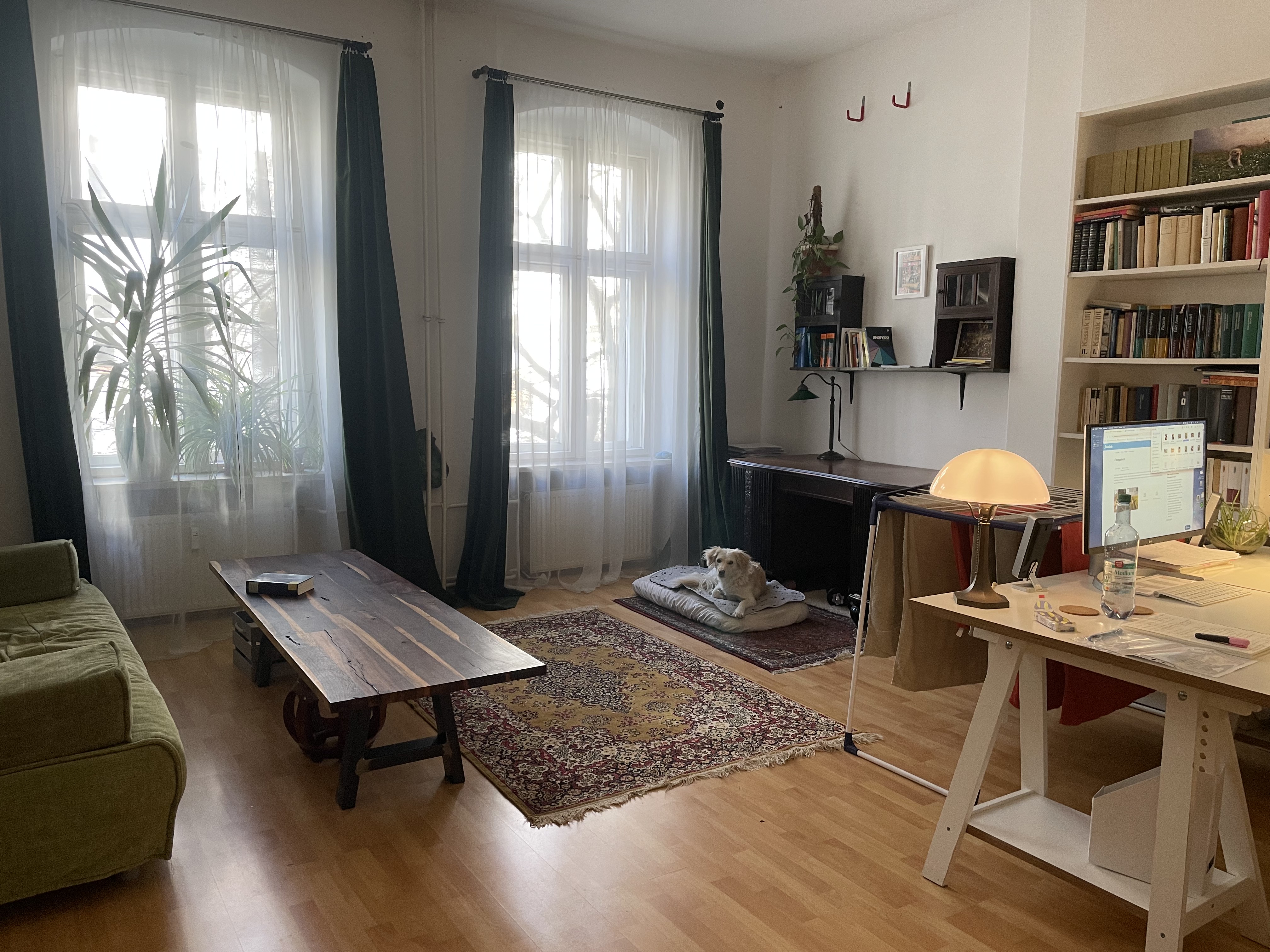 image-8