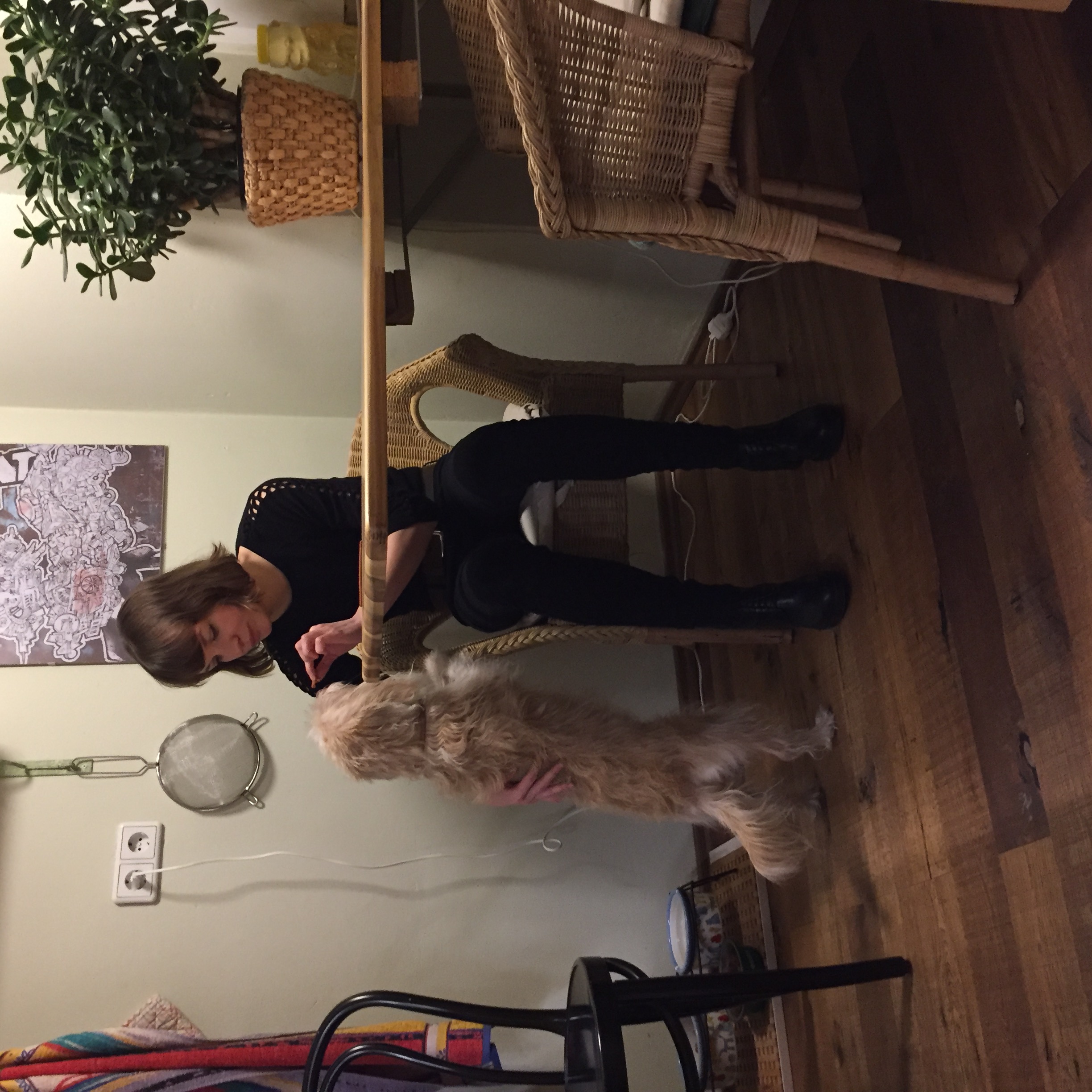 image-3