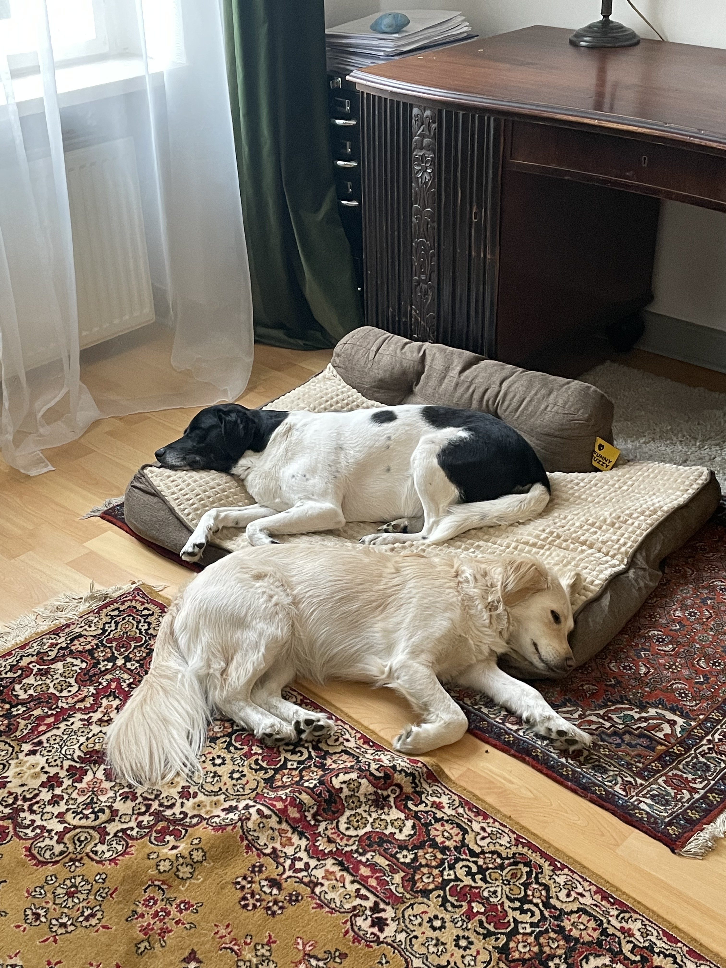 image-6