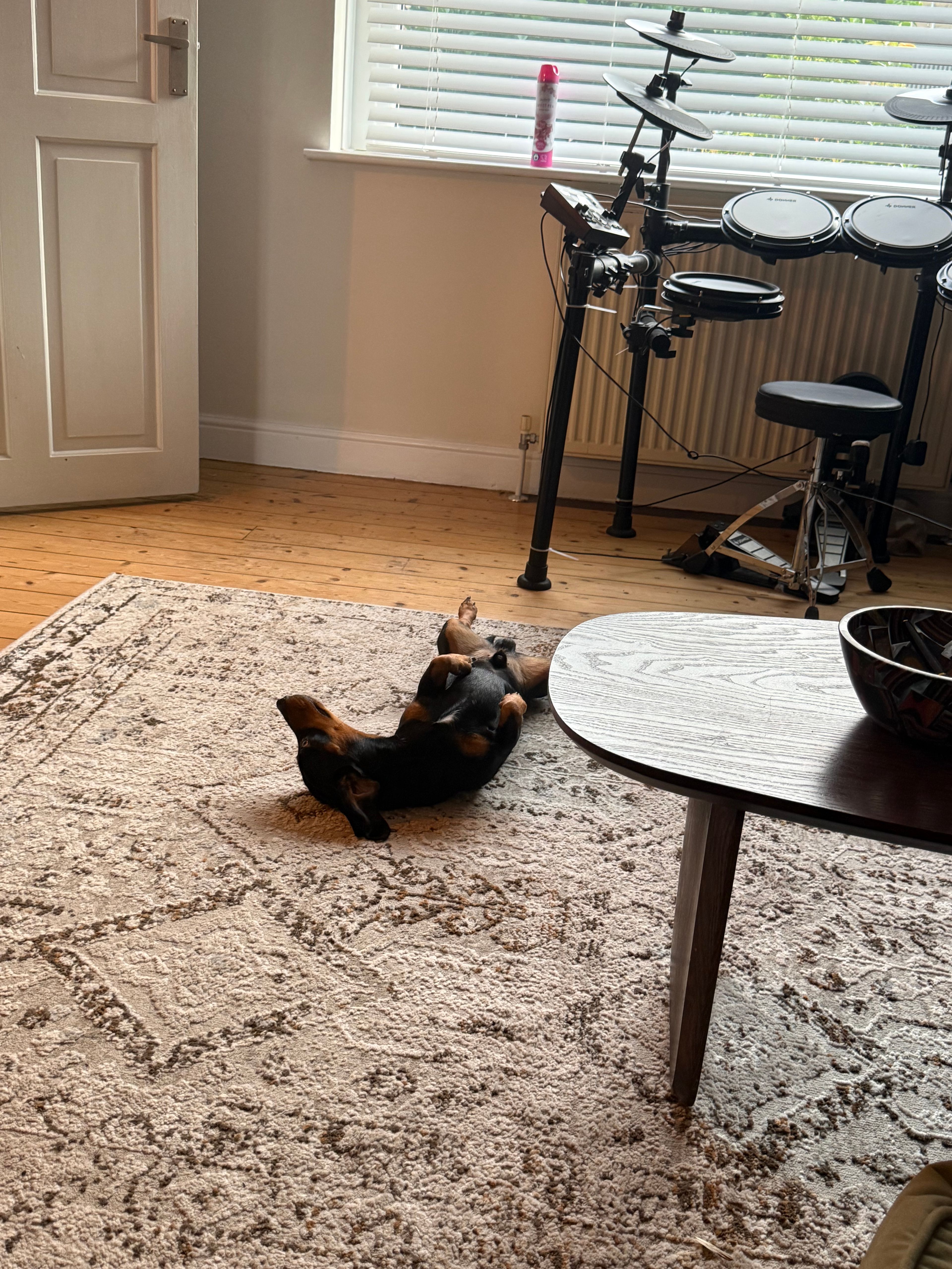 image-10