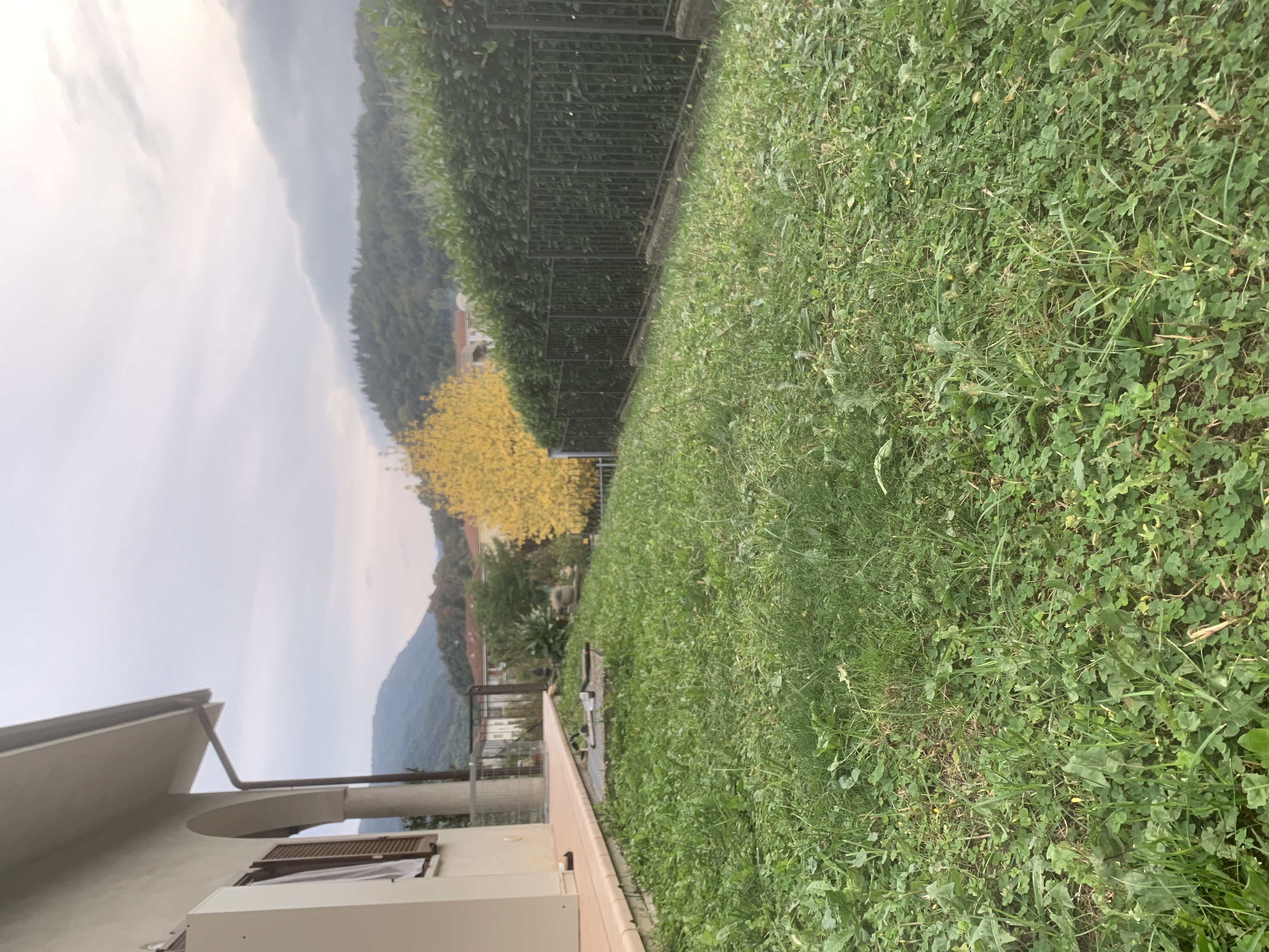 image-17