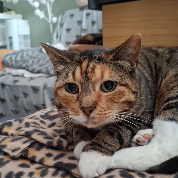 Minnie