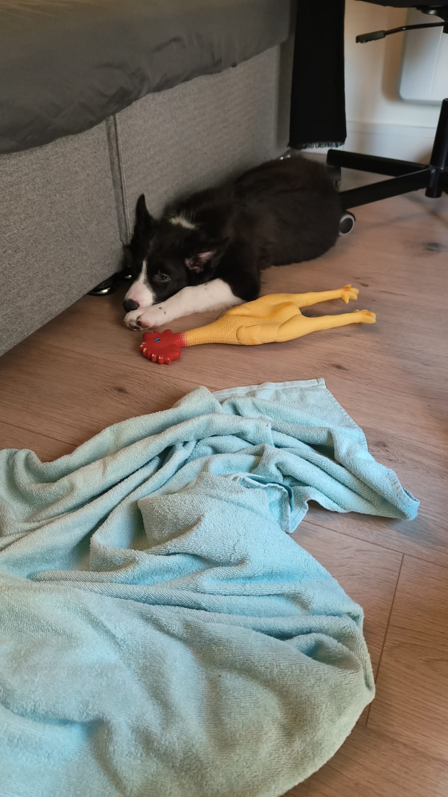 image-10