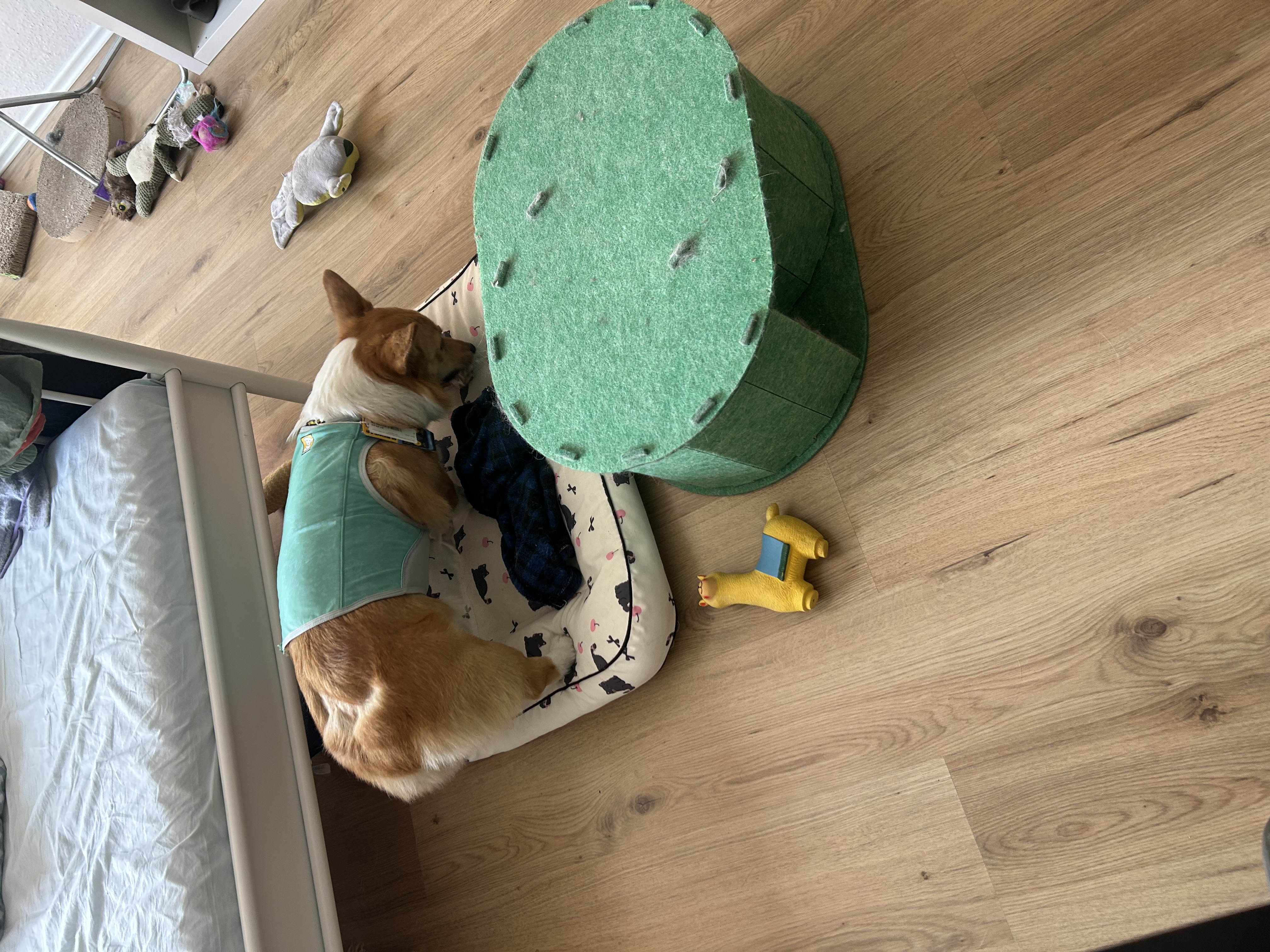 image-15