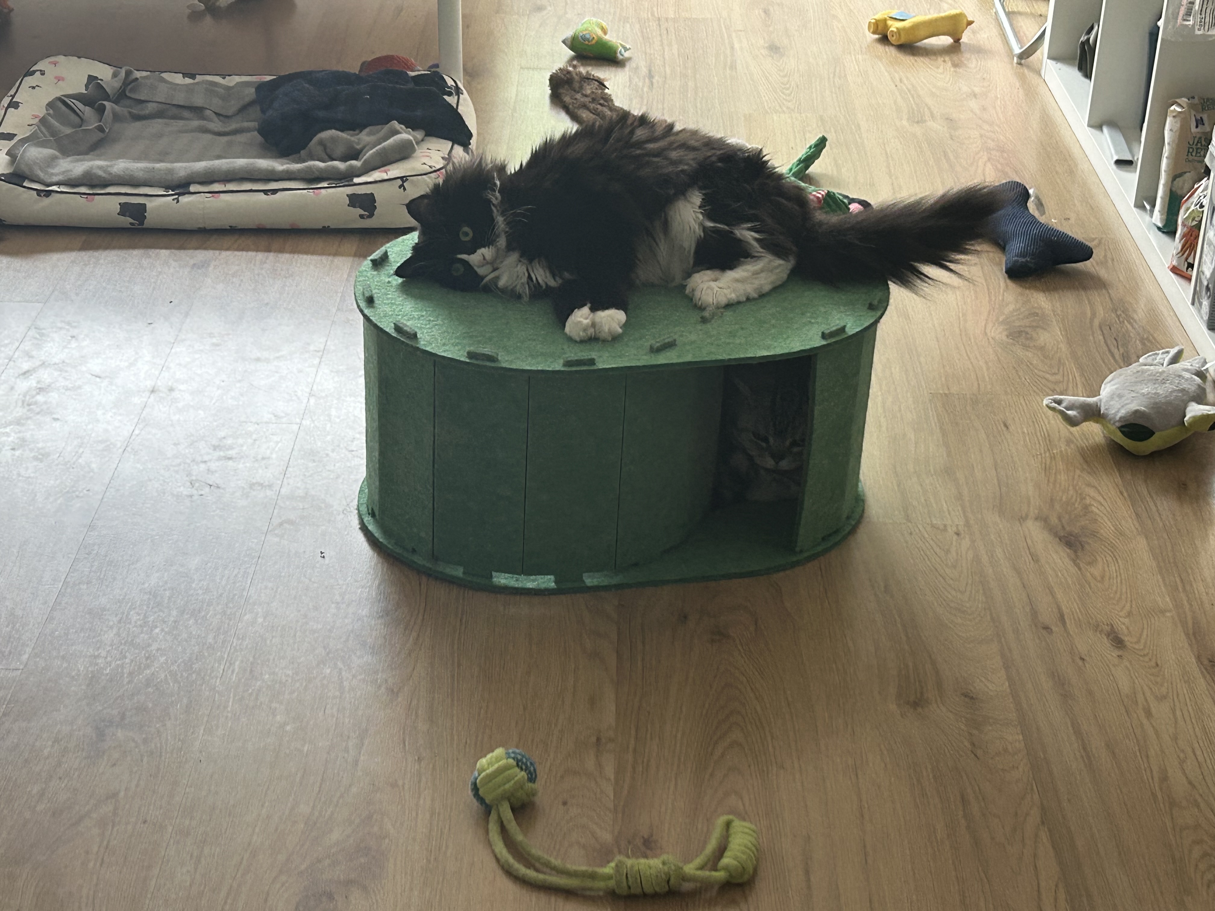 image-11