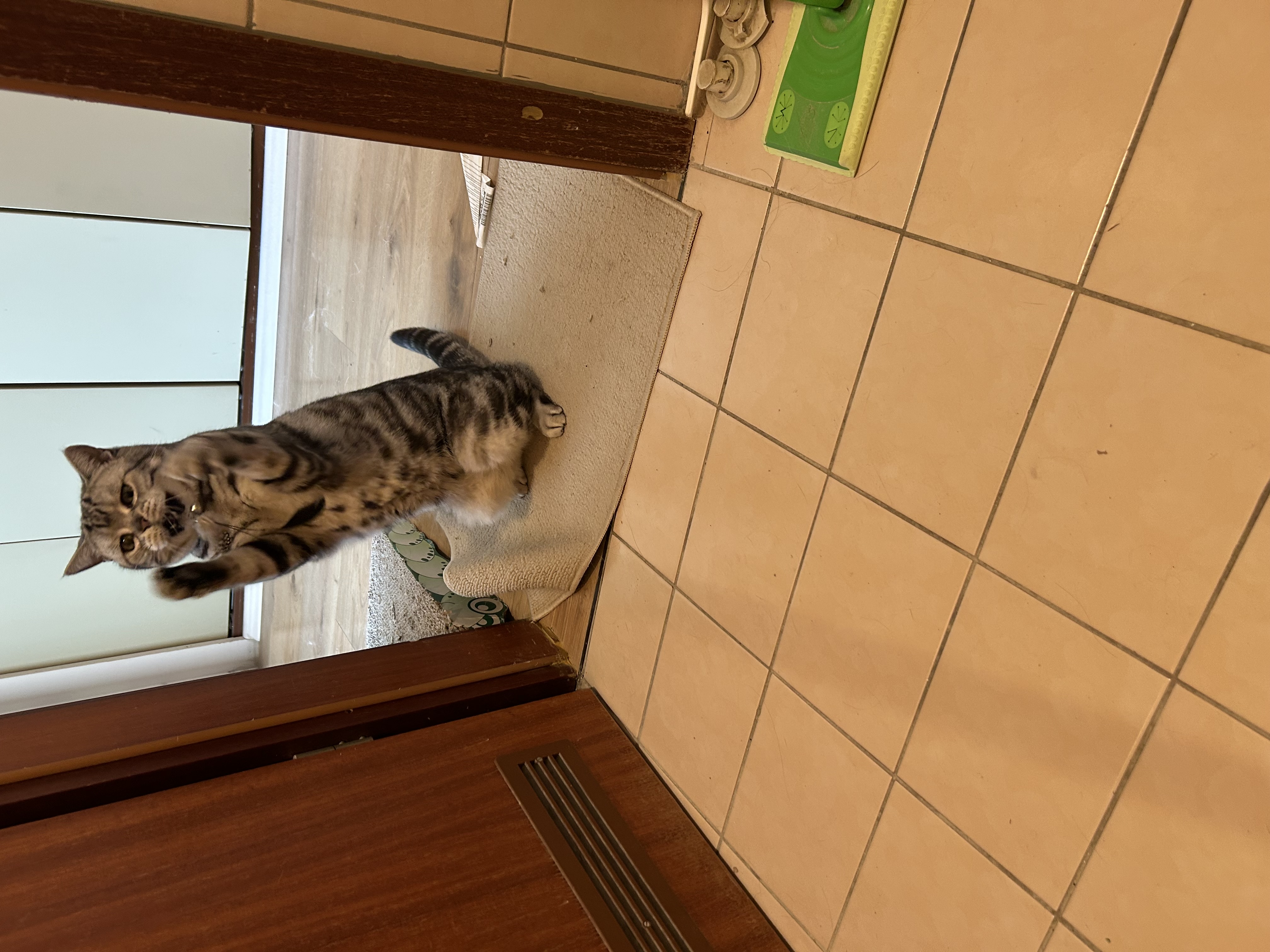 image-16