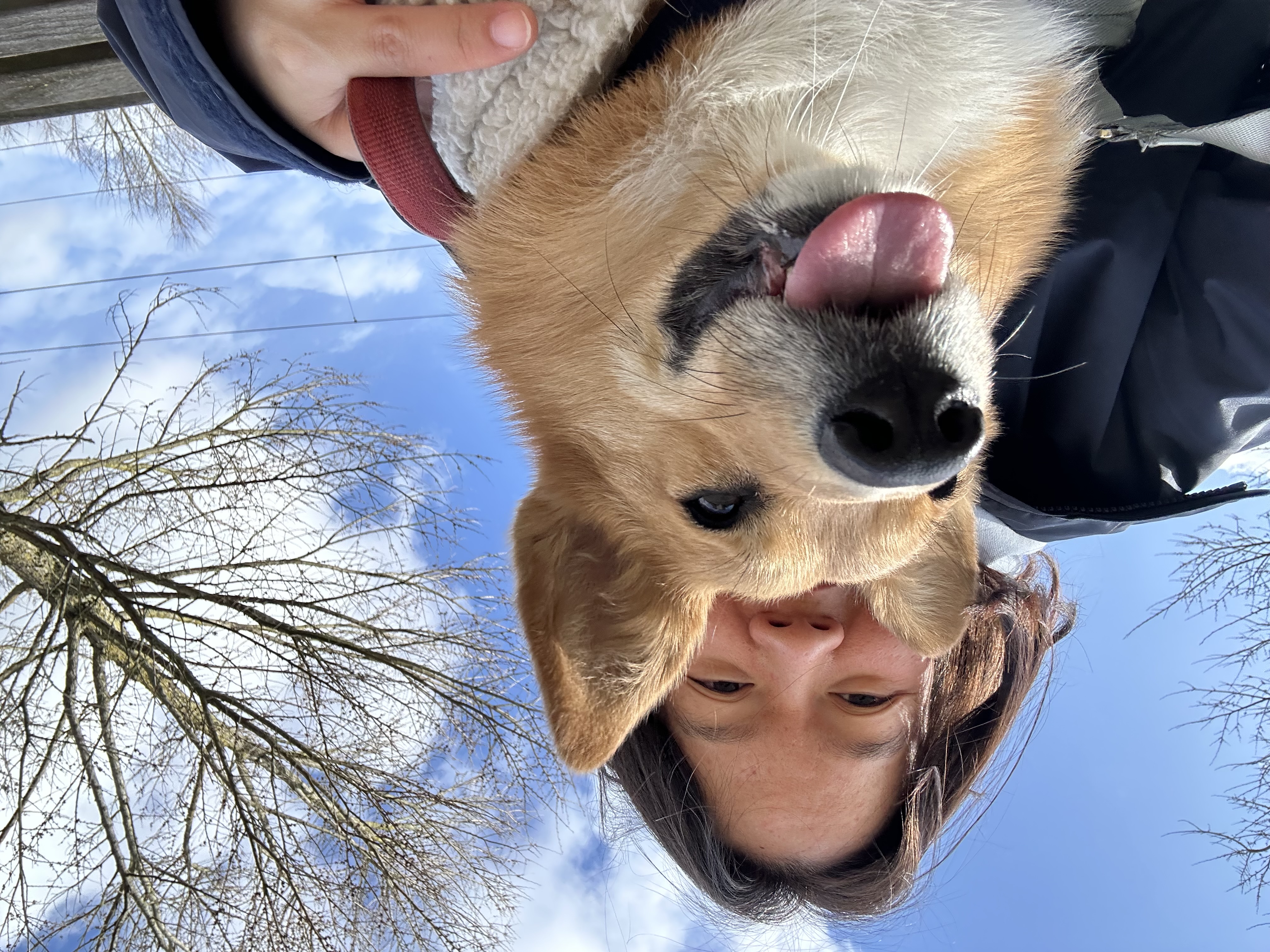 image-9