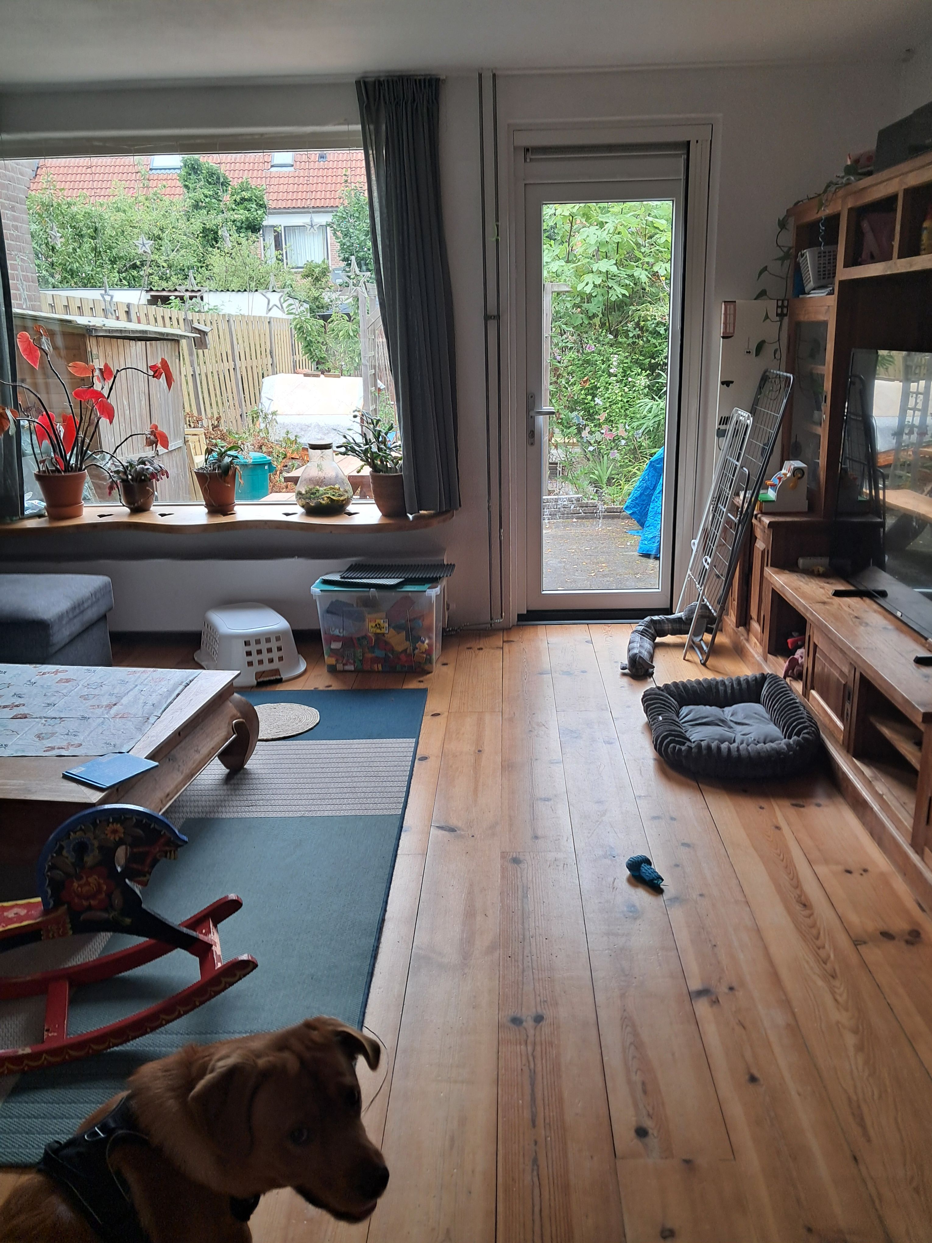 image-7