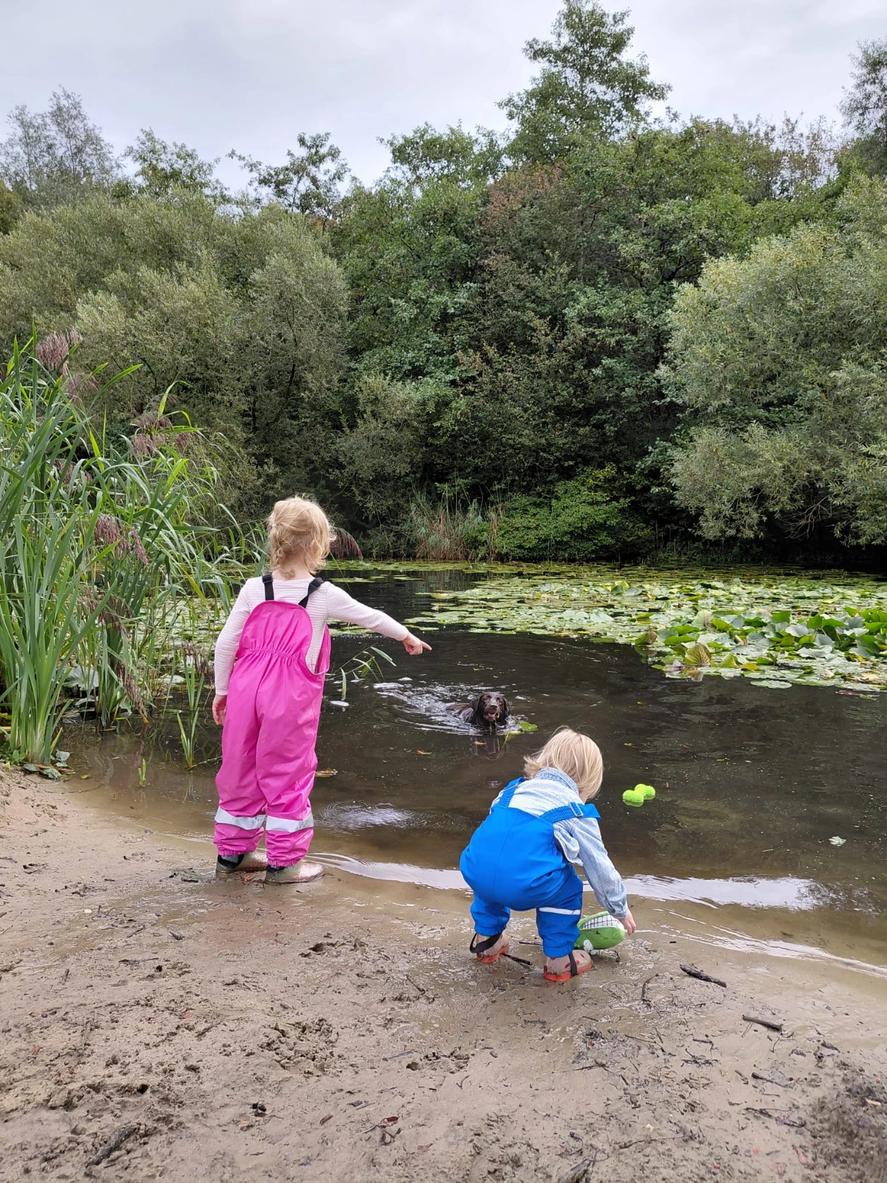 image-7