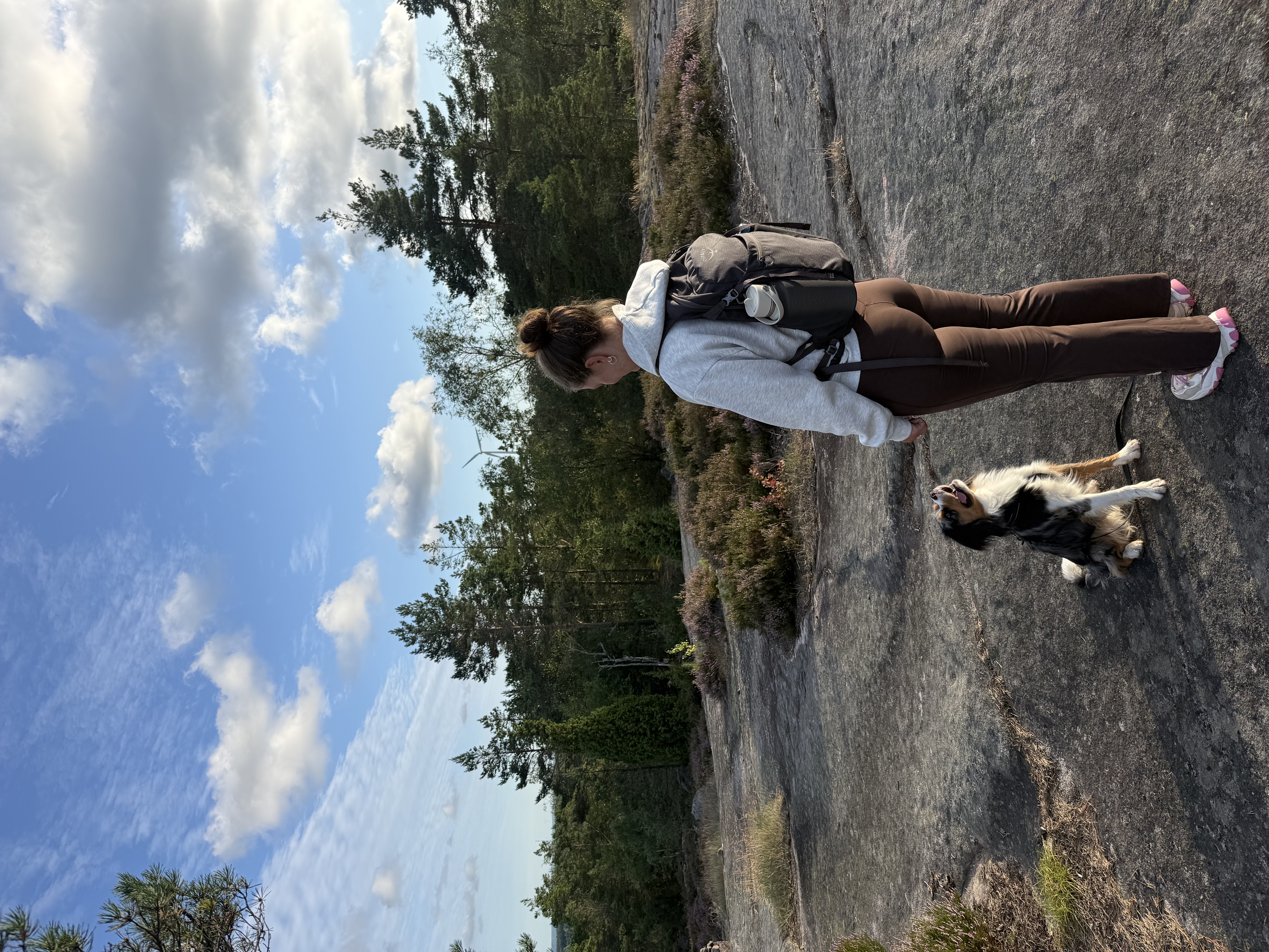 image-1