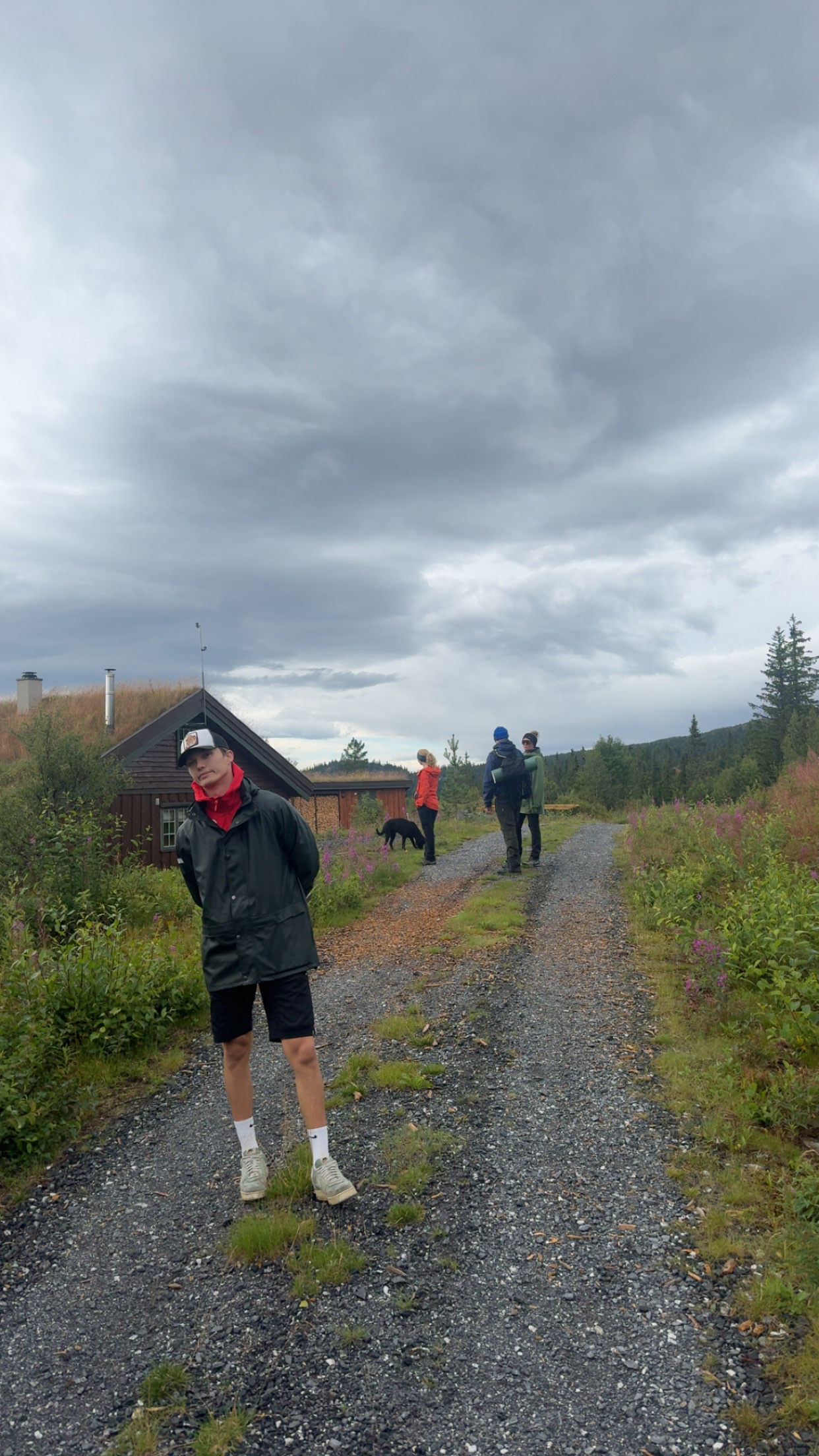 image-8