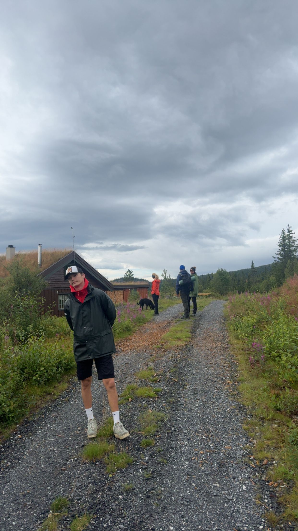 image-8