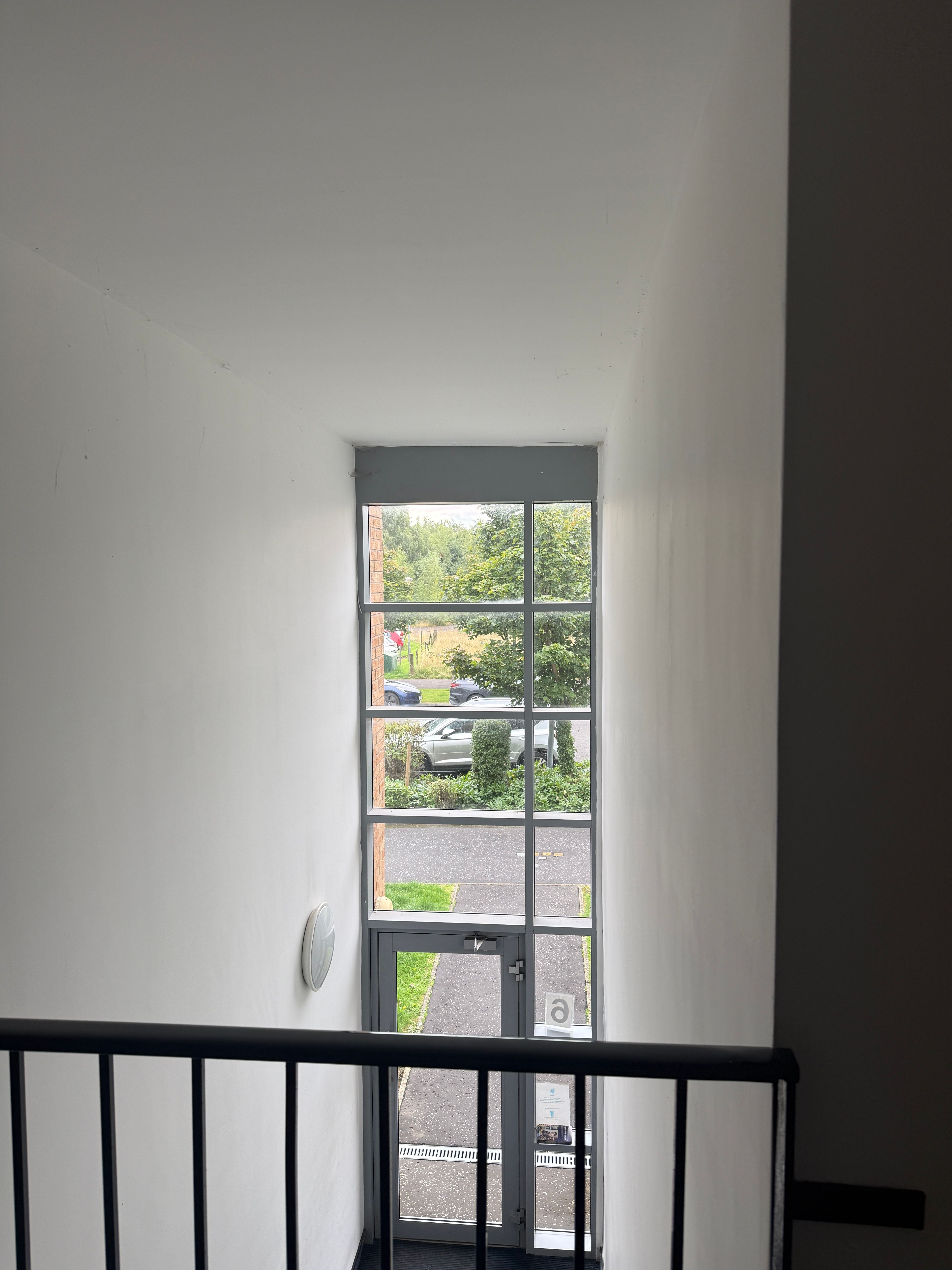 image-19