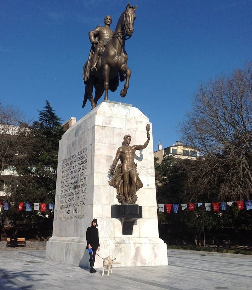 image-7