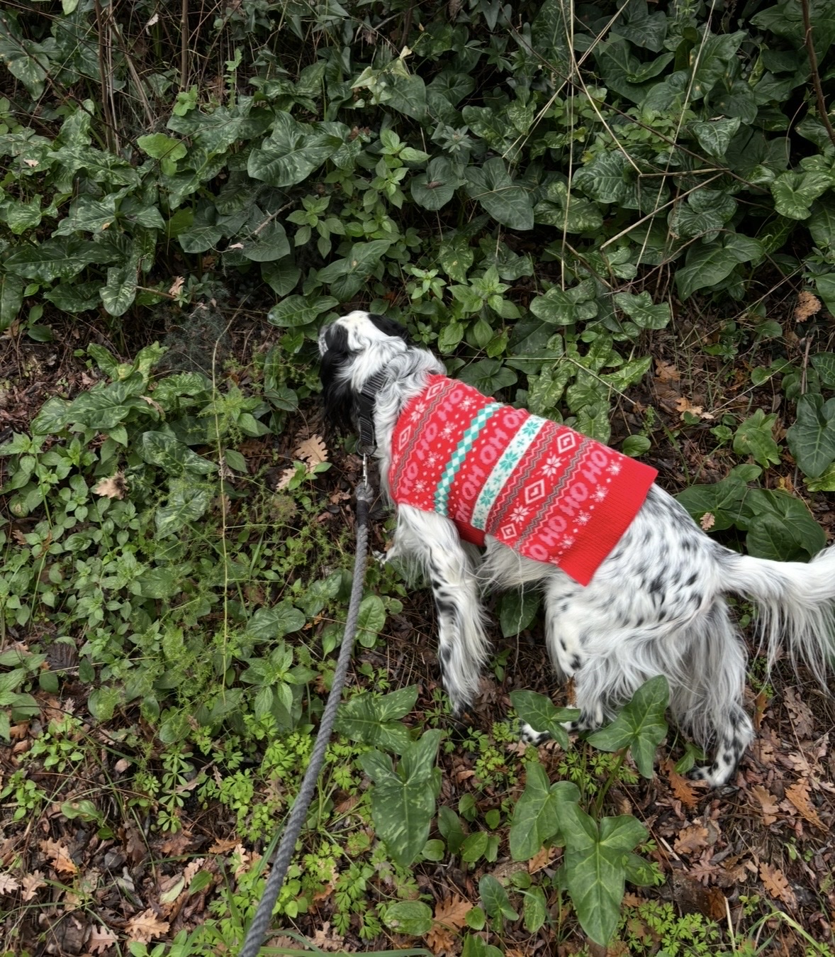 image-6