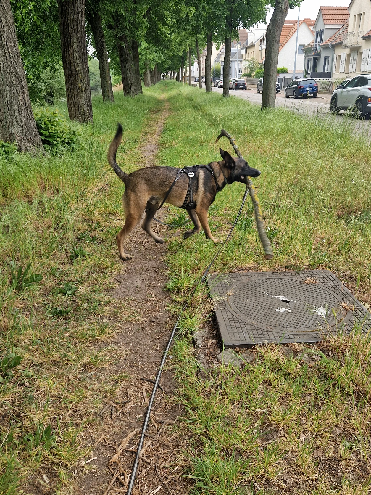 image-9
