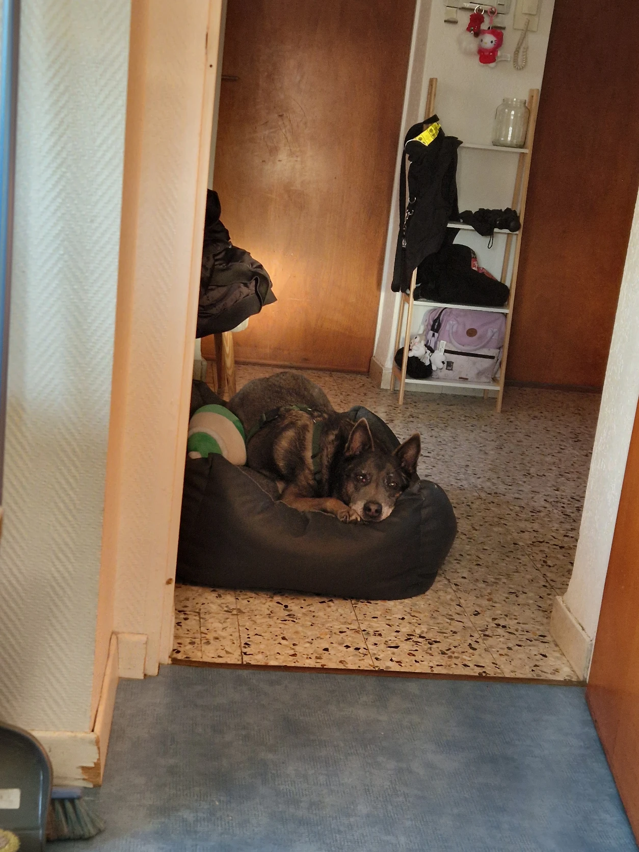 image-9
