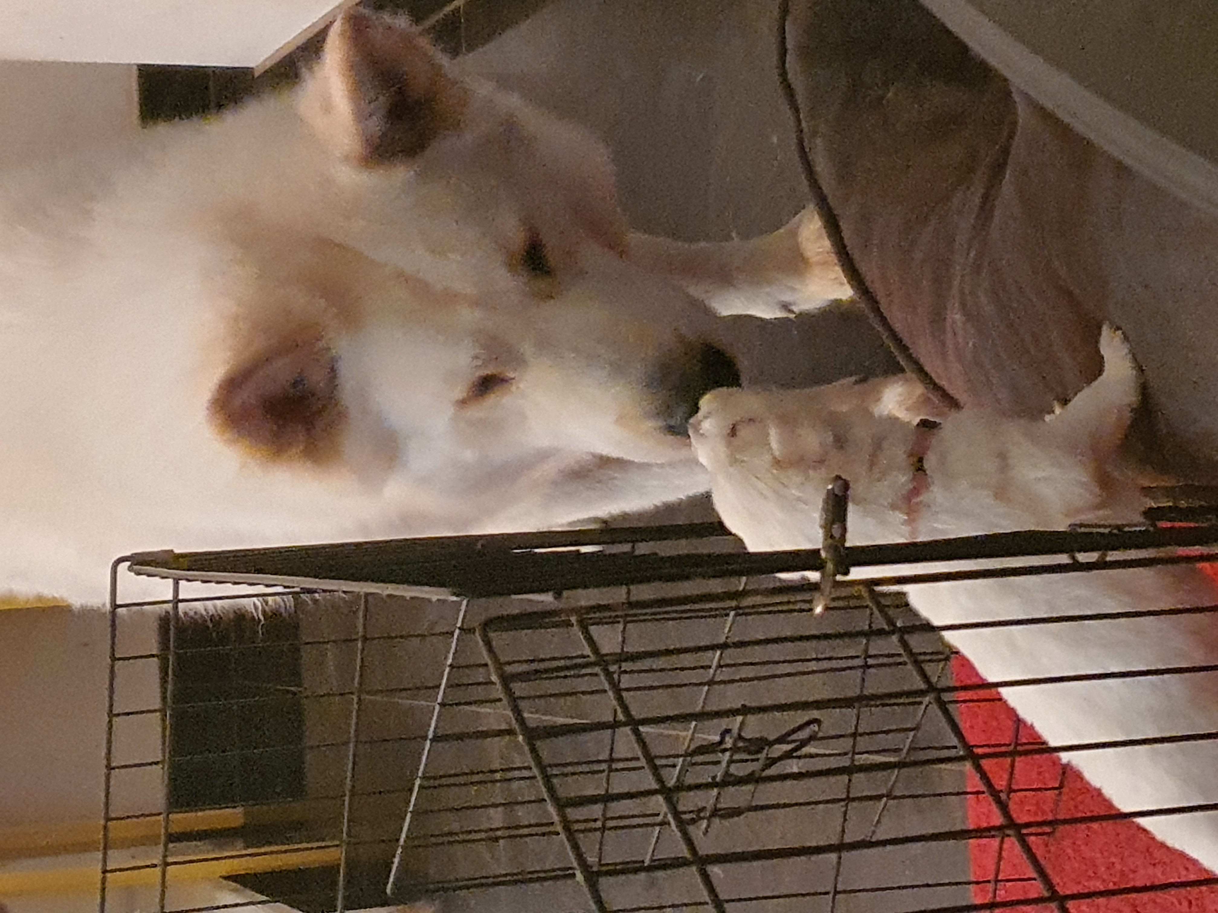 image-9