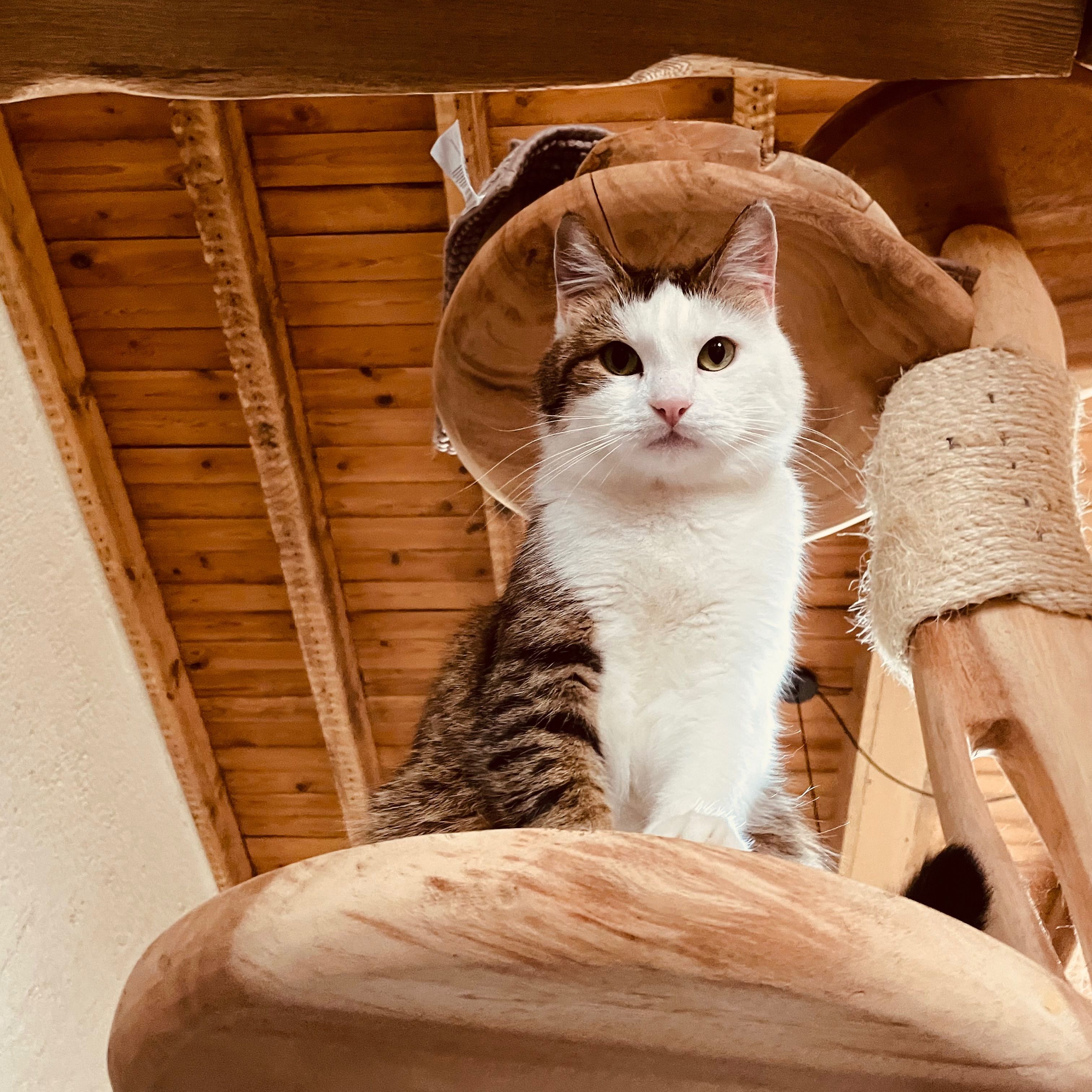 Sam
