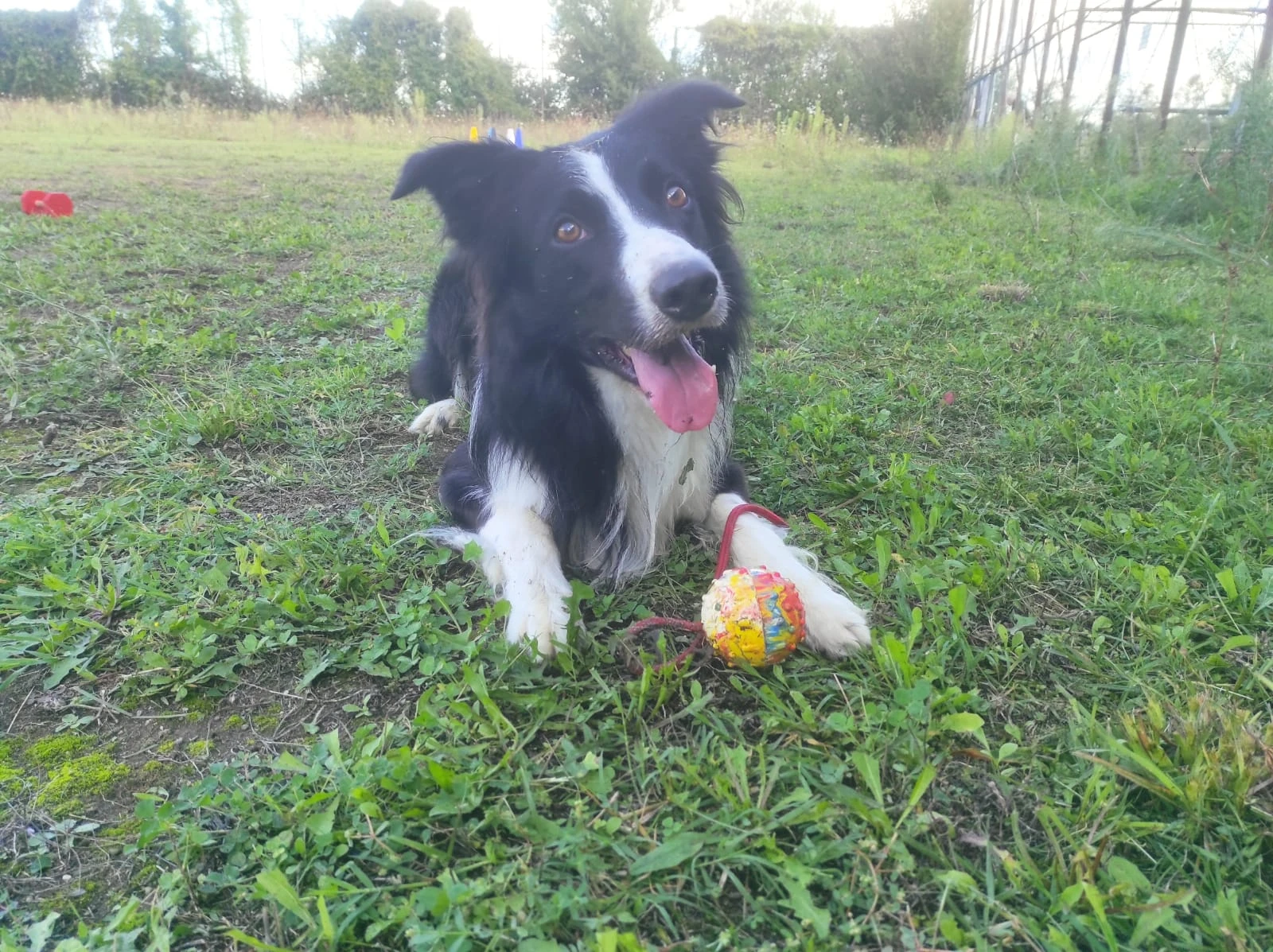 image-8