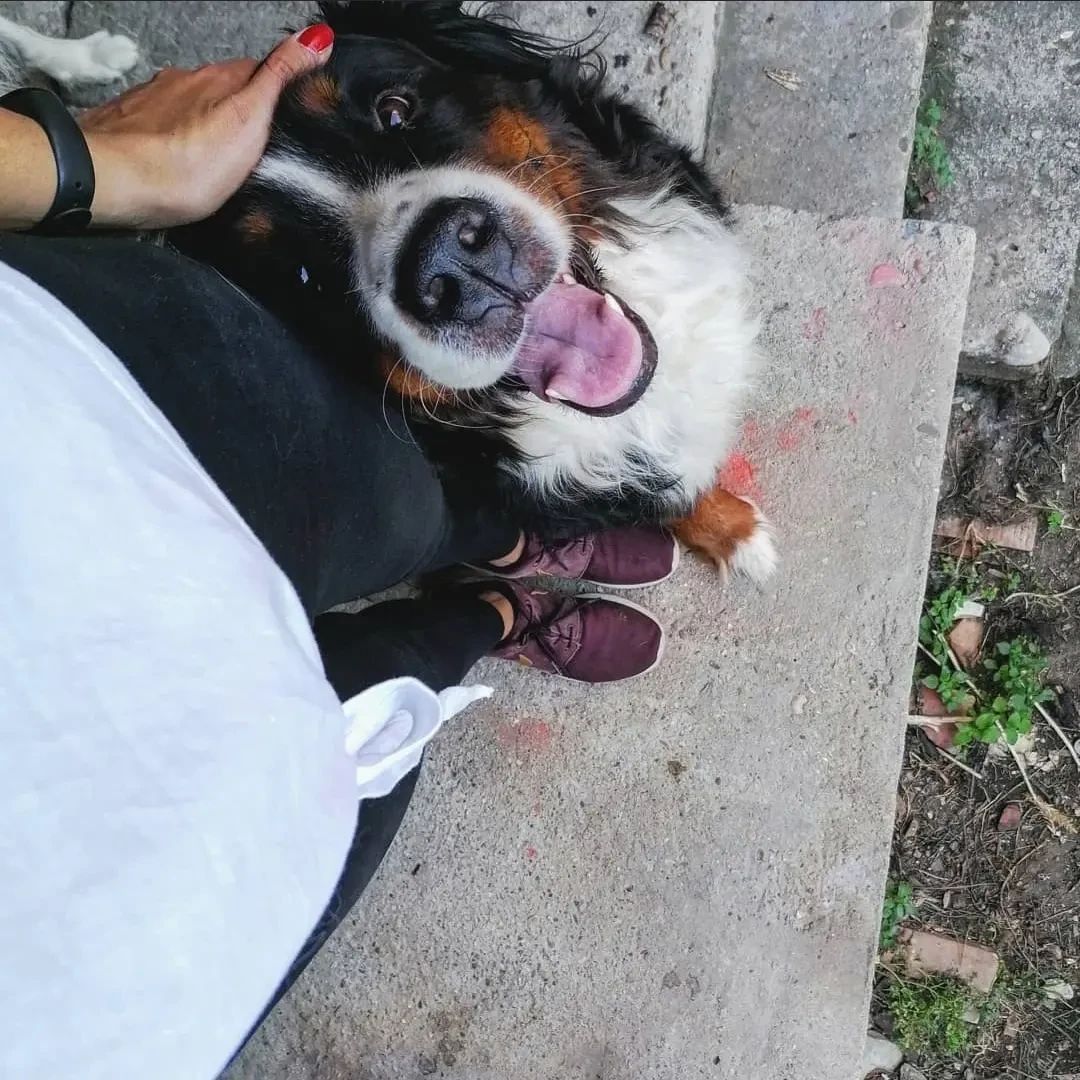 image-6