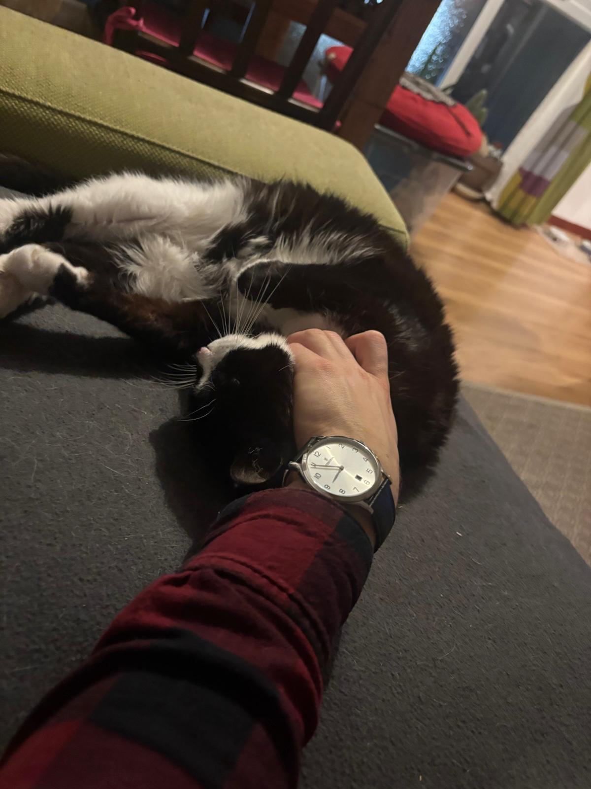 image-11