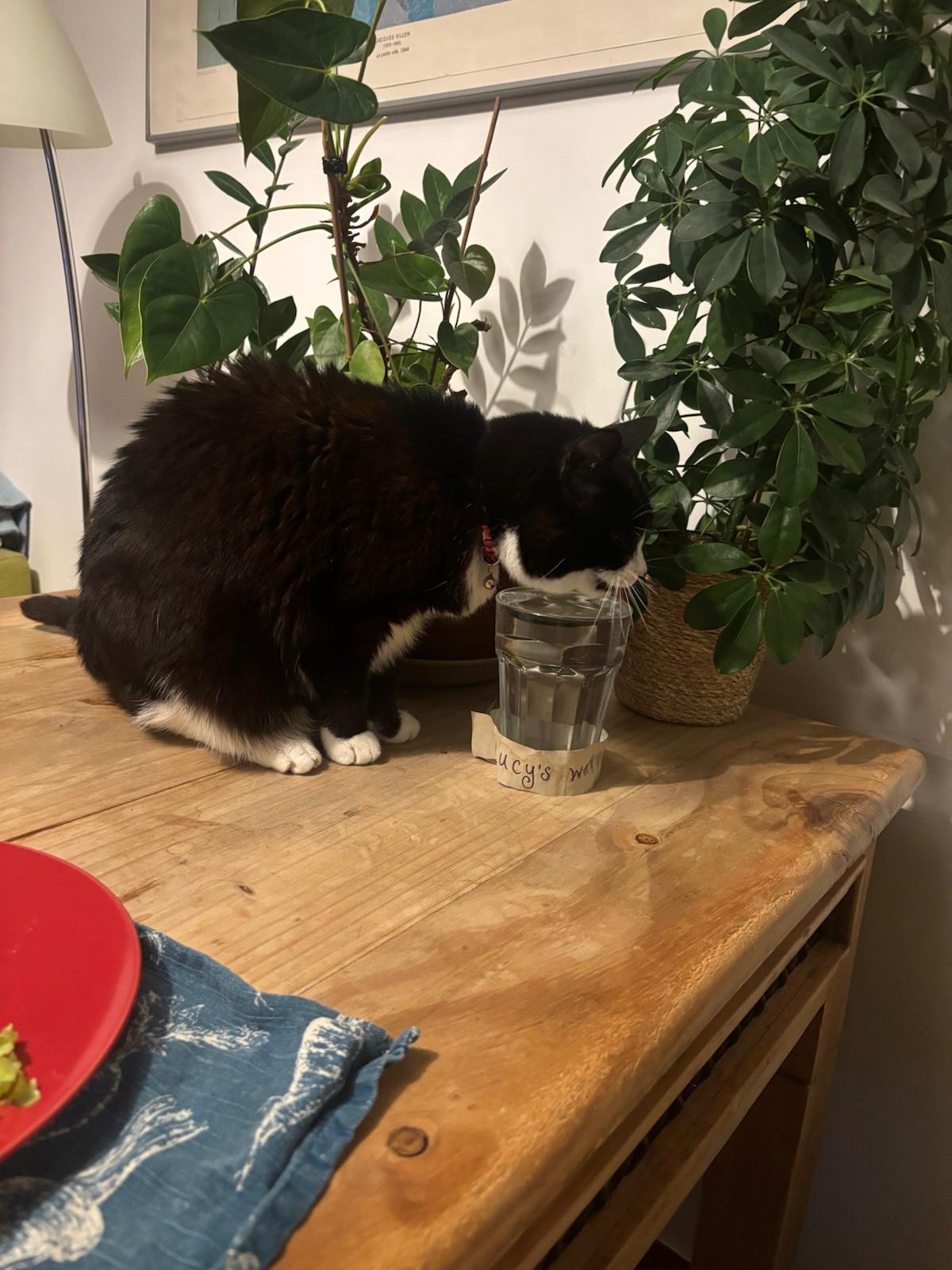 image-6