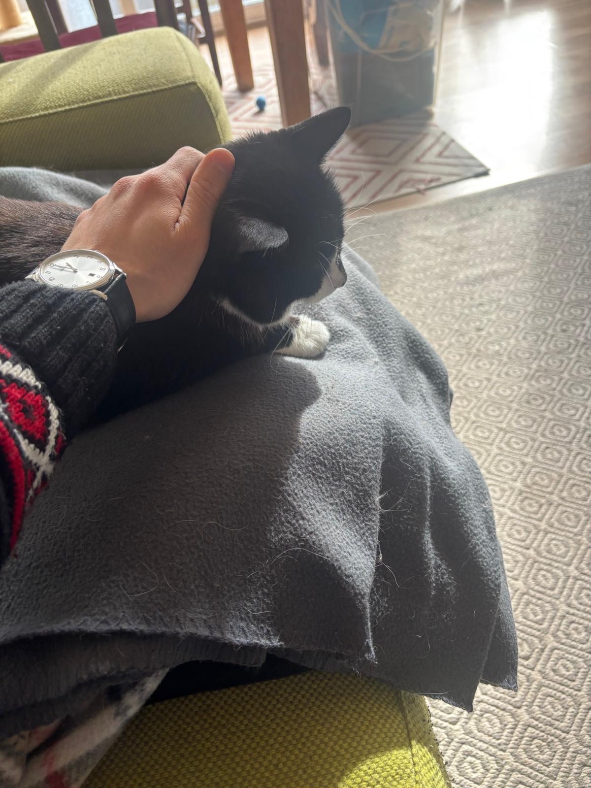 image-7